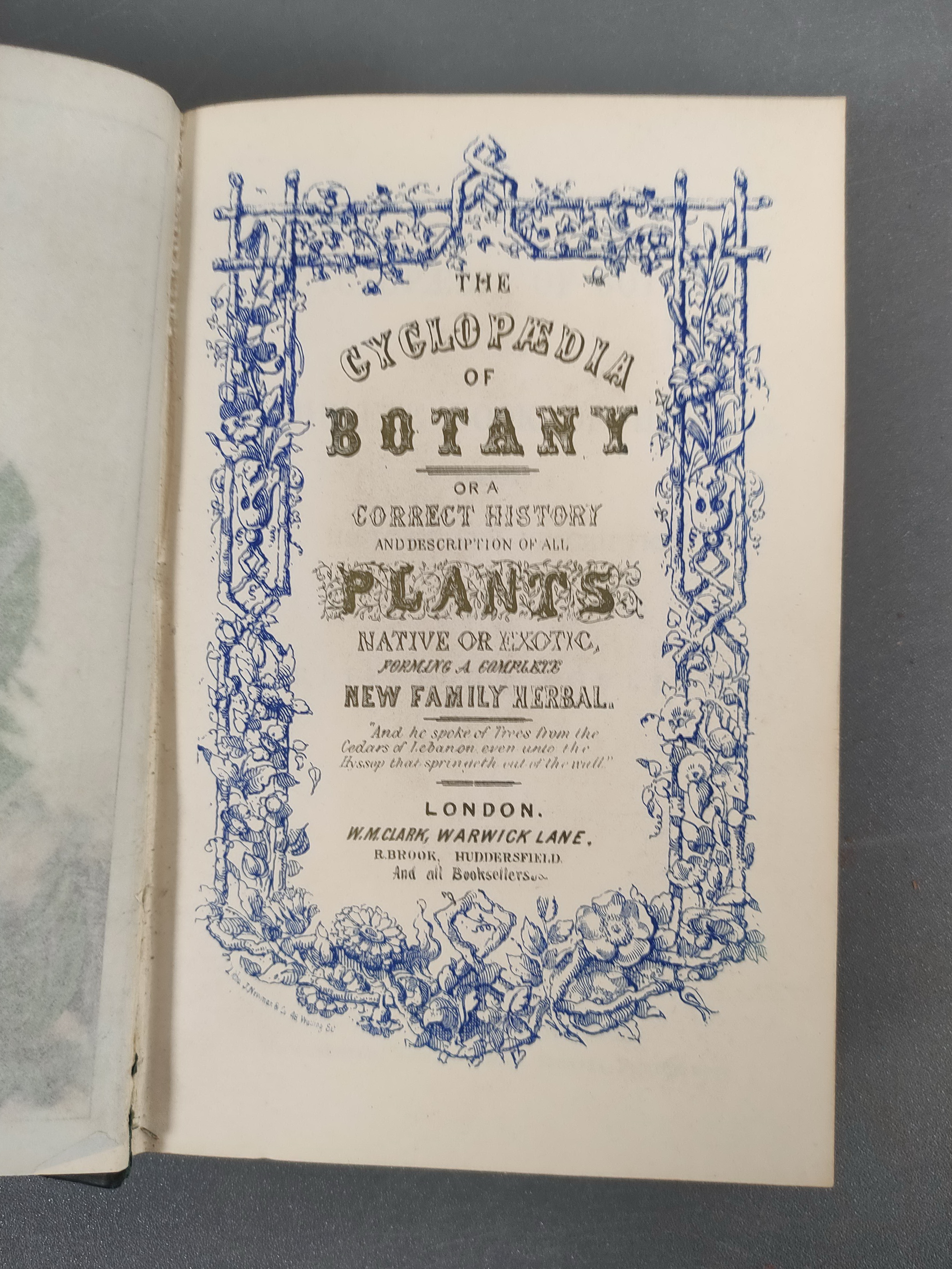 CLARK W. M. & BROOK R. (Pubs).  The Cyclopaedia of Botany or A Correct History & Description of - Image 2 of 12