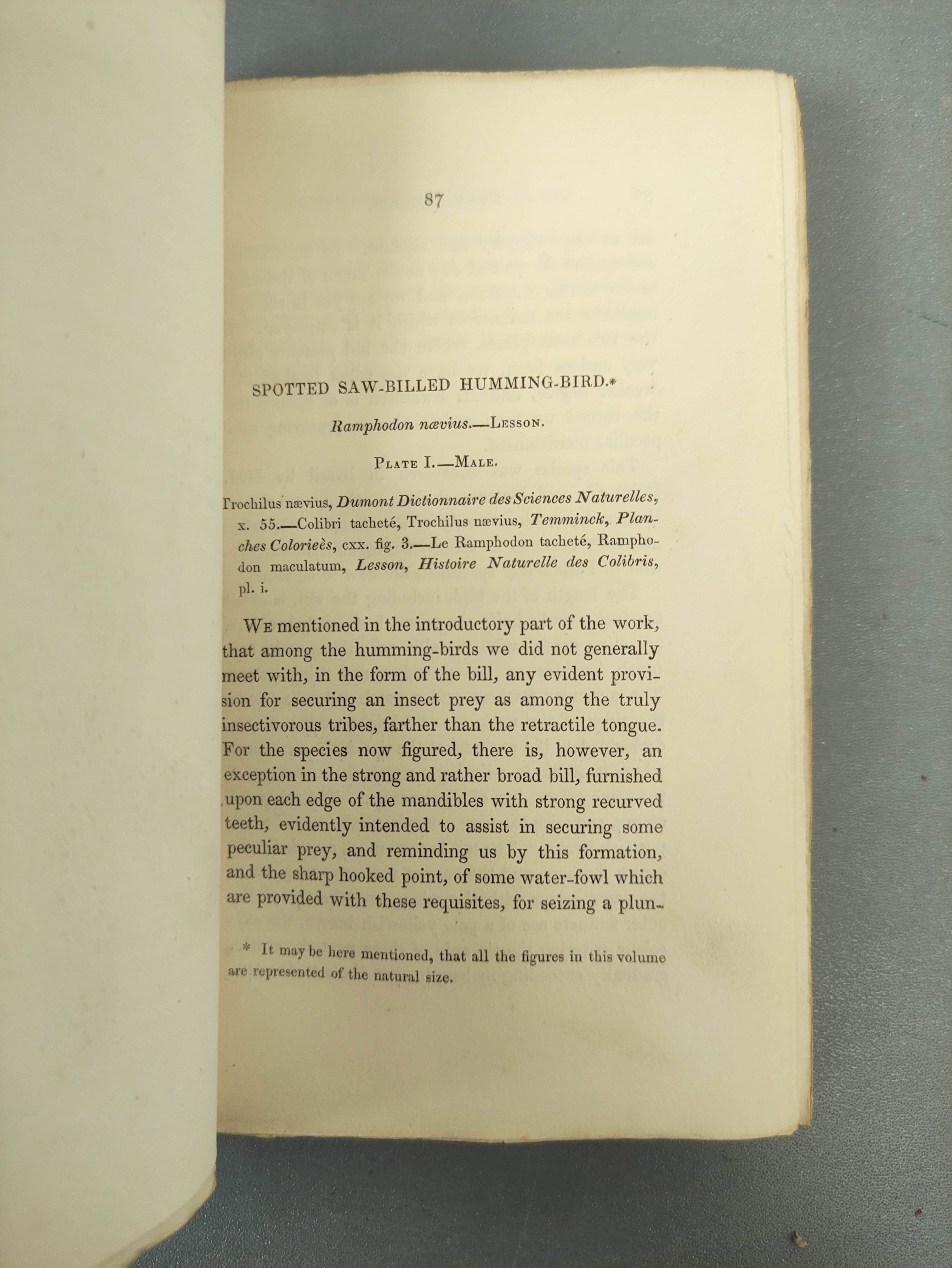 JARDINE SIR WILLIAM.  The Naturalist's Library. Ornithology vols. 1 & 2 re. Humming Birds. Eng. - Image 6 of 16