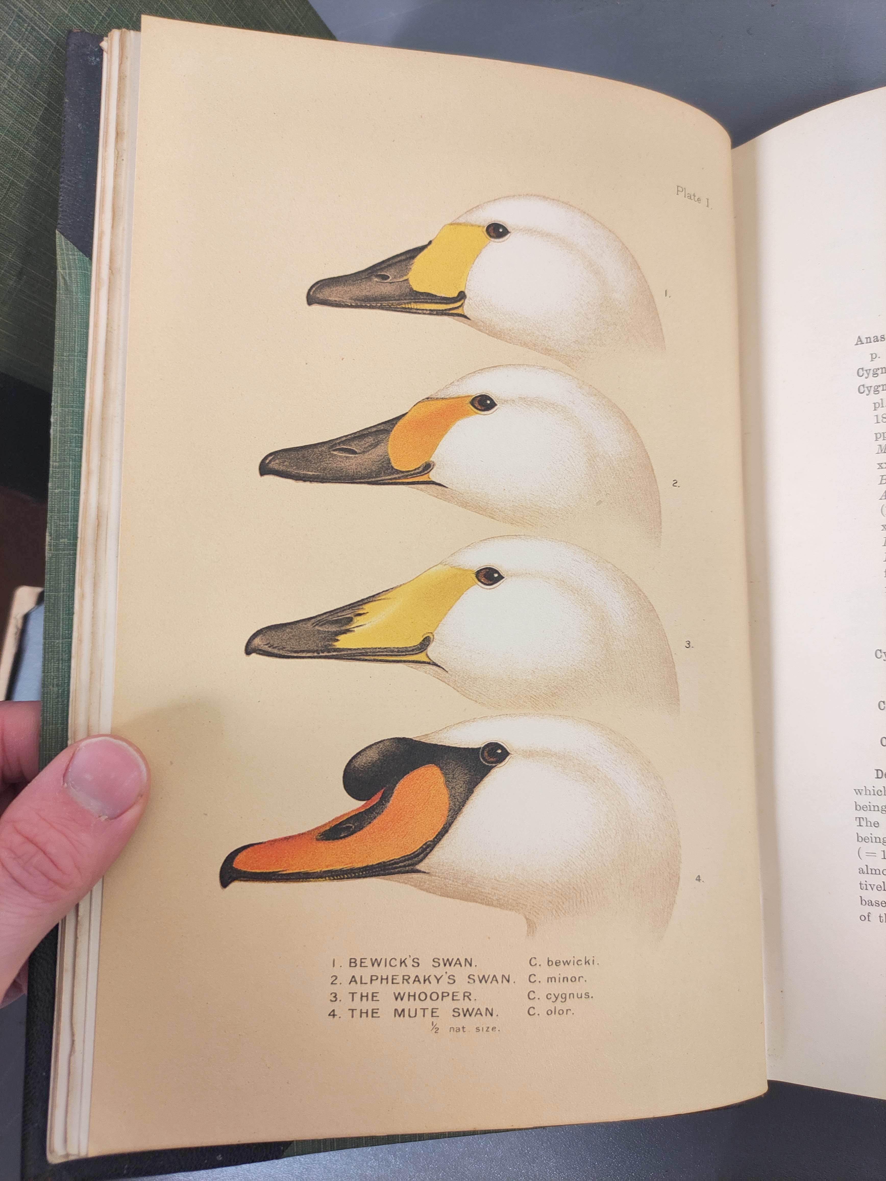 STUART BAKER E. C.  The Game-Birds of India, Burma & Ceylon. Vols. 1 & 2. 49 col. plates. Royal 8vo. - Image 5 of 13