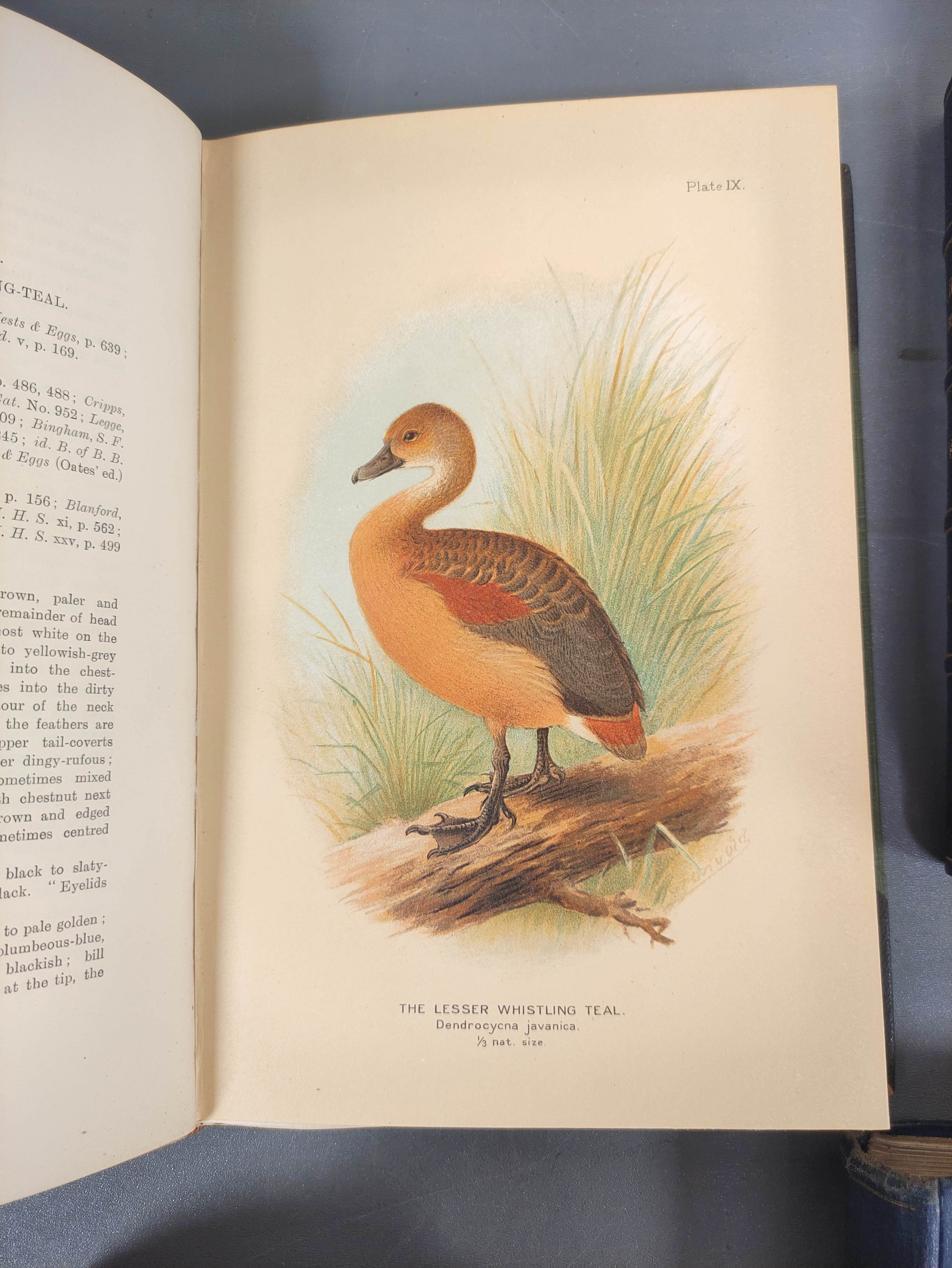 STUART BAKER E. C.  The Game-Birds of India, Burma & Ceylon. Vols. 1 & 2. 49 col. plates. Royal 8vo. - Image 9 of 13