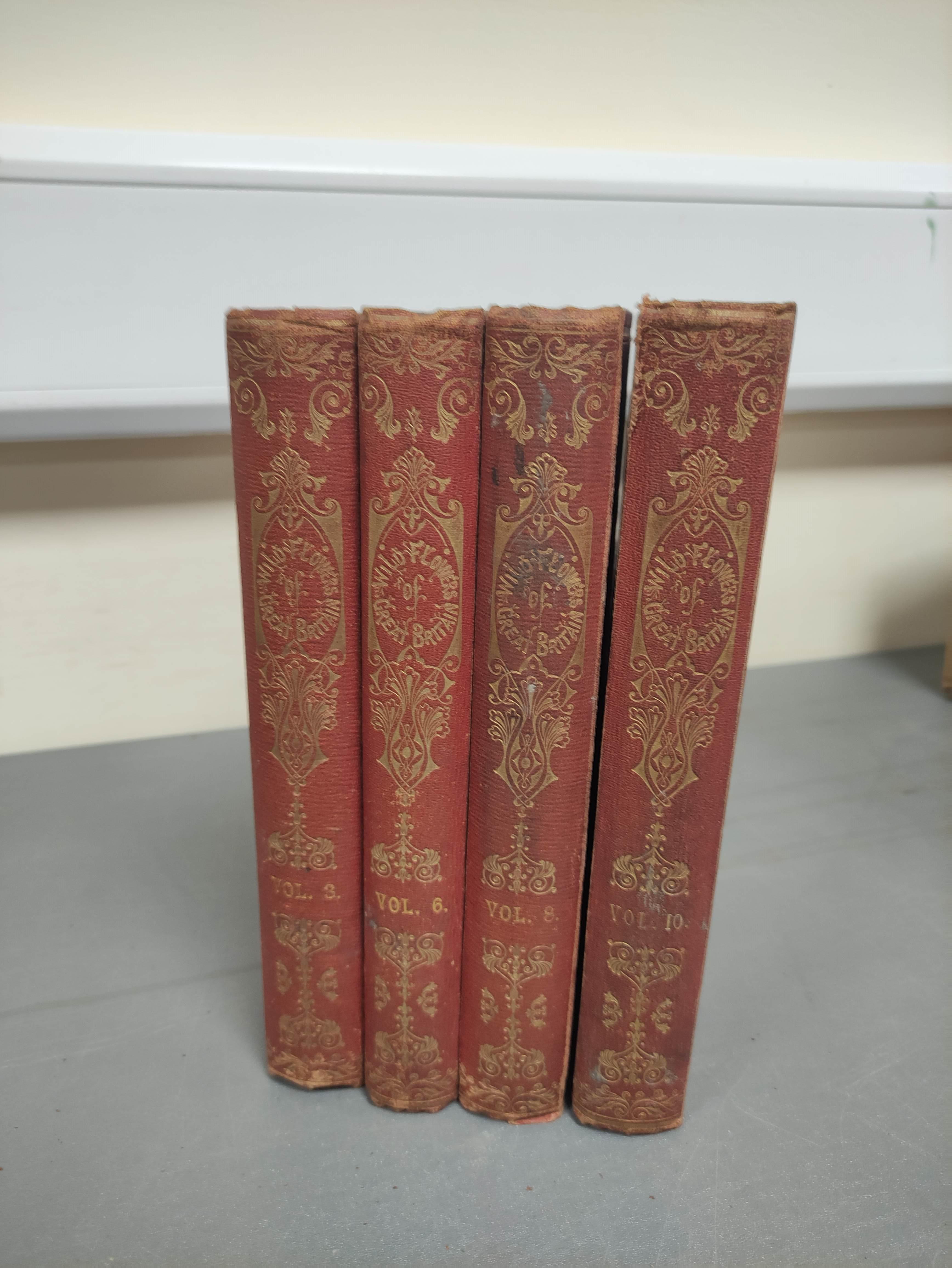 HOGG R. & JOHNSON G. W.  The Wild Flowers of Great Britain. Vols. 3, 6, 8 & 10. Many col. plates. - Image 2 of 8