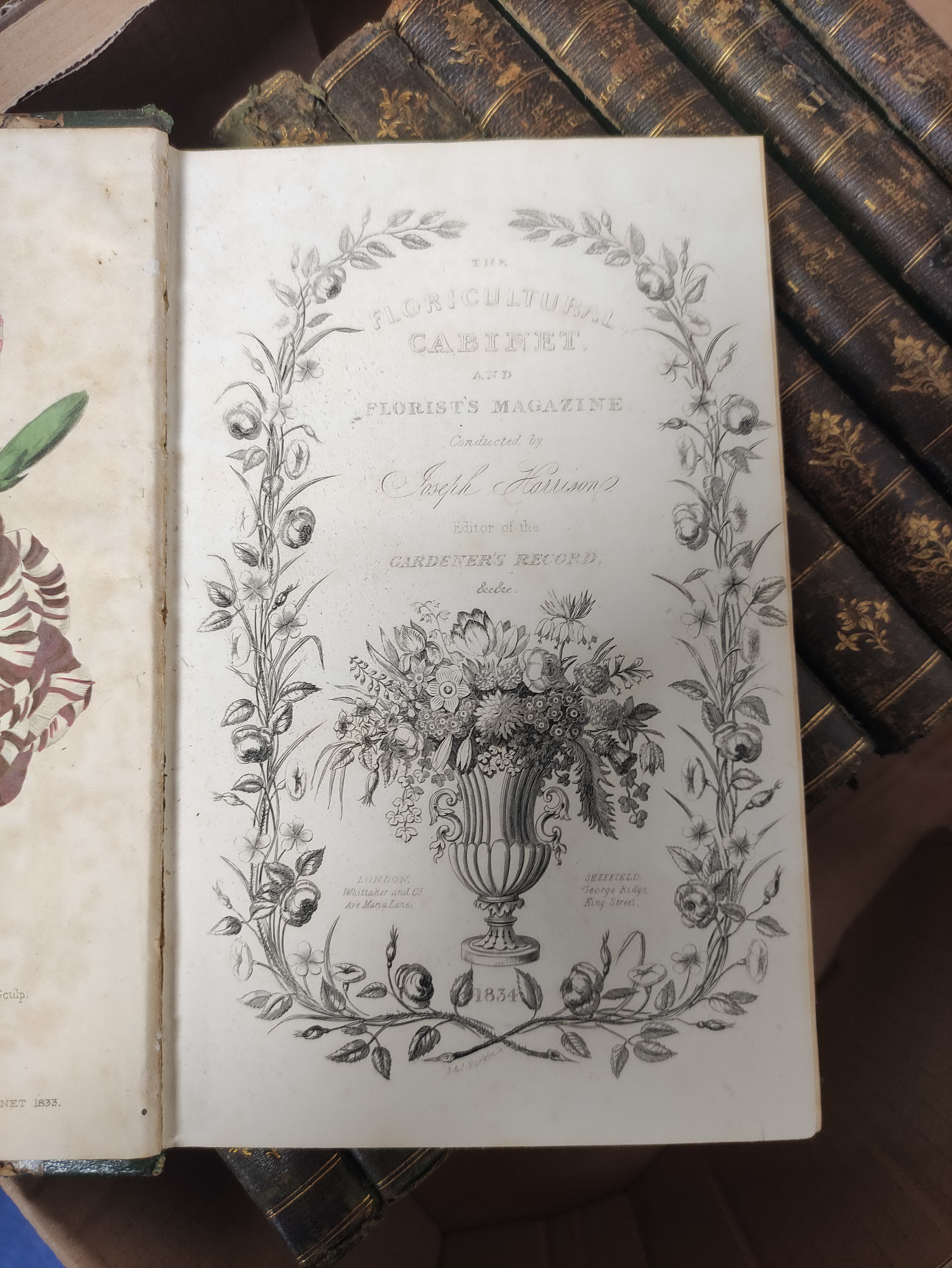 HARRISON JOSEPH.  The Floricultural Cabinet & Florist's Magazine. Vols. 1 to 13. Very many col. - Image 3 of 8