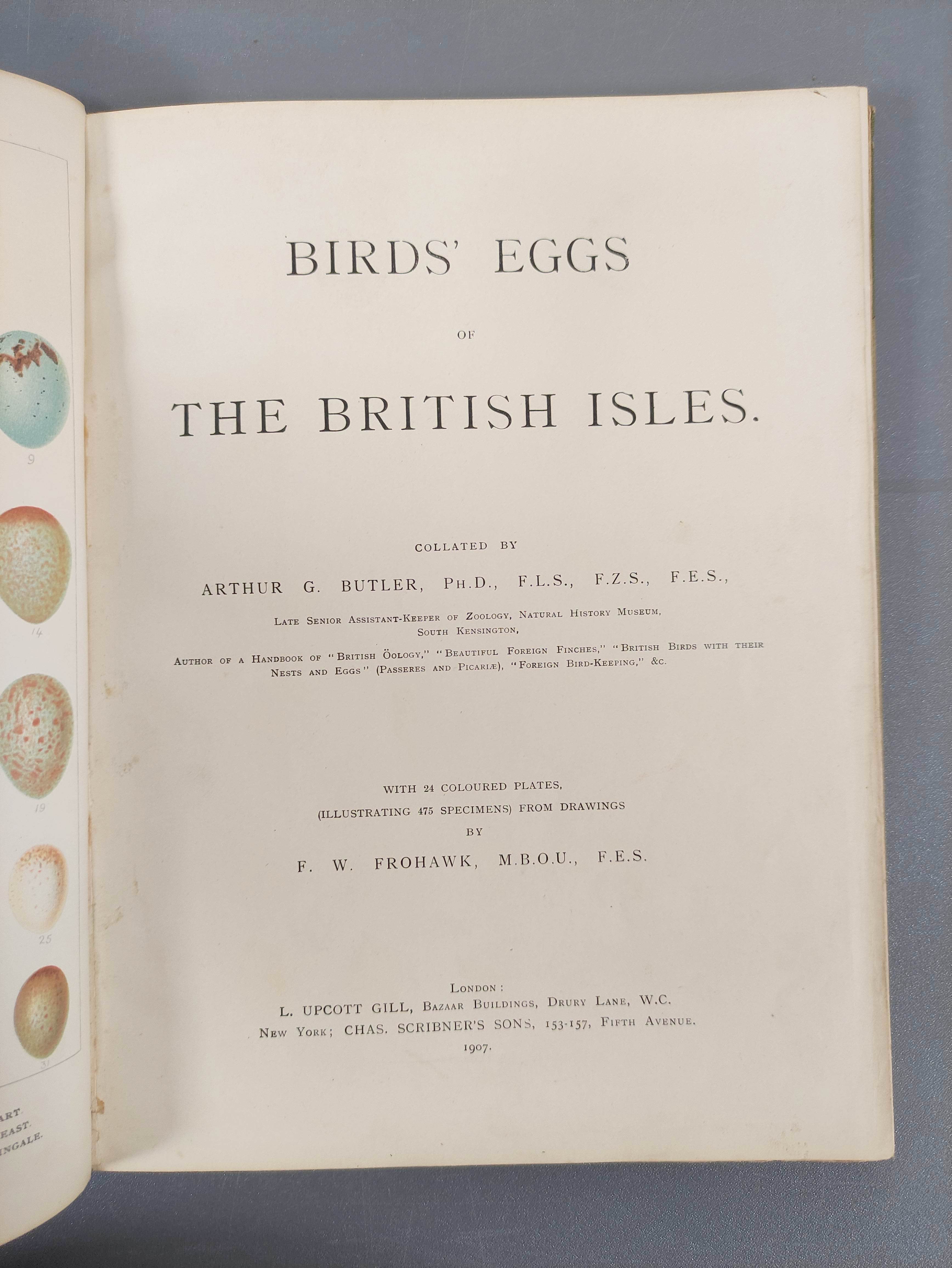 BUTLER A. G.  Birds of Great Britain & Ireland. 2 vols. Good col. plates by H. Gronvold & F. W. - Image 3 of 17