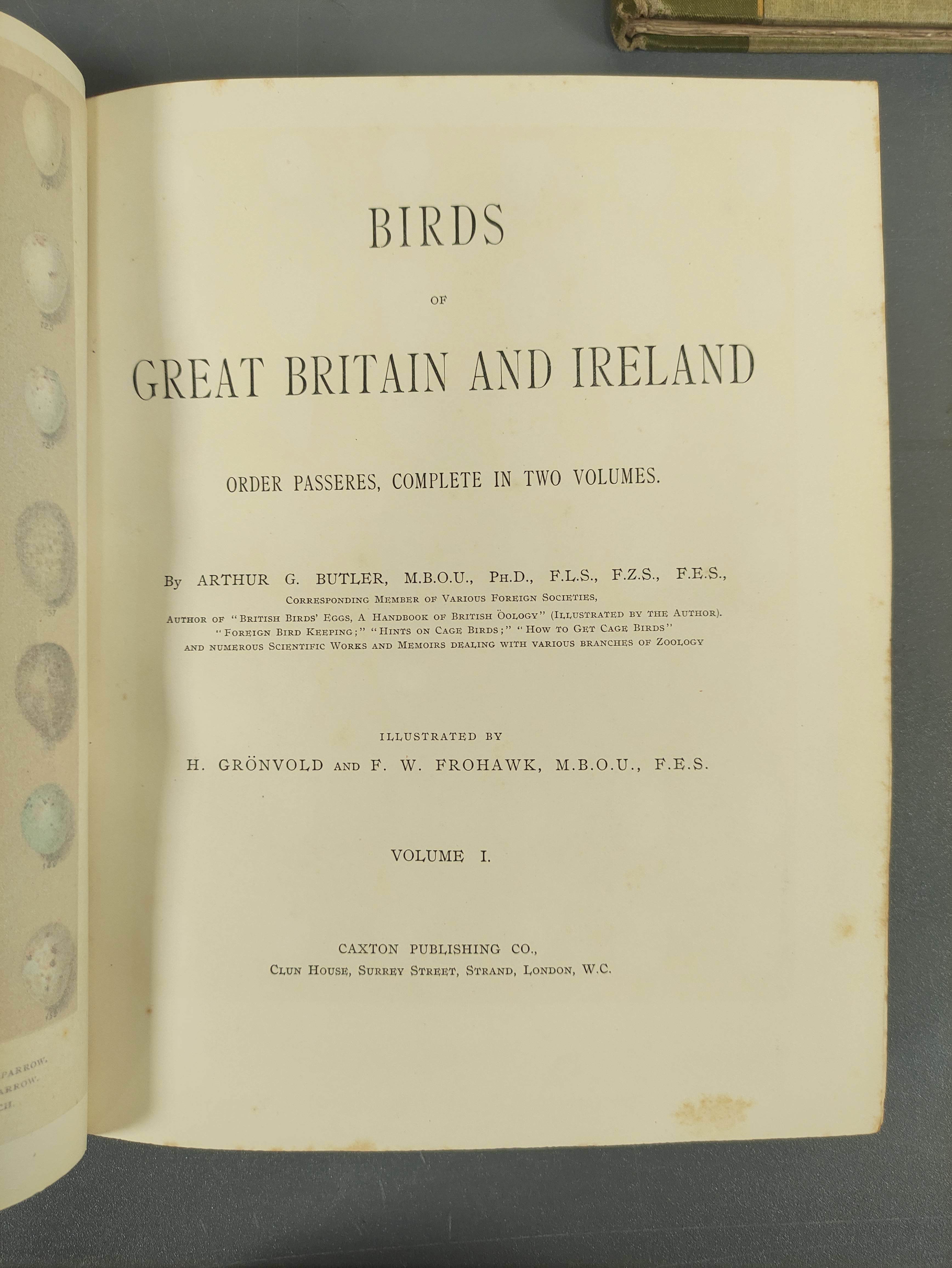 BUTLER A. G.  Birds of Great Britain & Ireland. 2 vols. Good col. plates by H. Gronvold & F. W. - Image 7 of 17