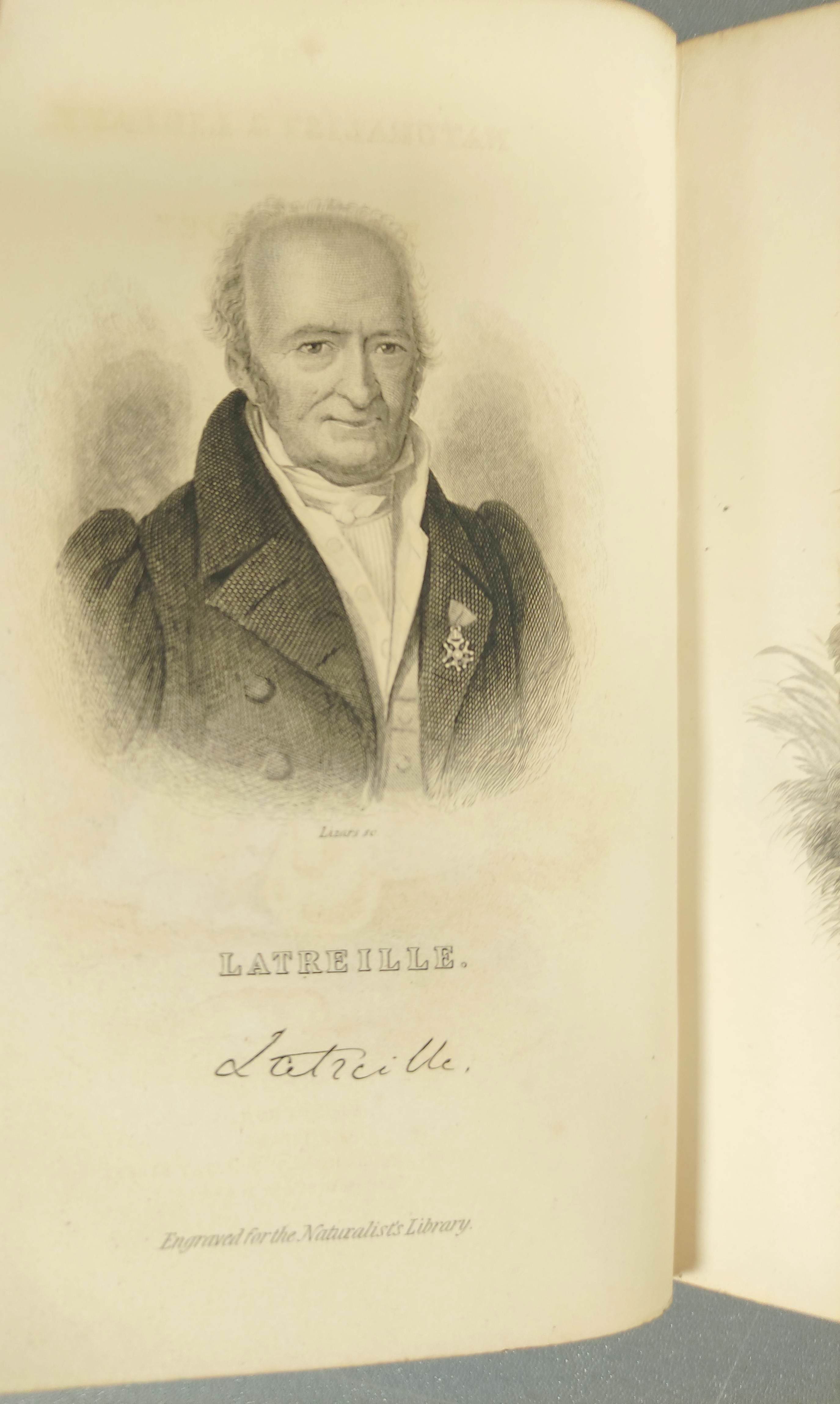 JARDINE SIR WILLIAM.  The Naturalist's Library. Vols. 32, 33 & 34 - Entomology (5, 6 & 7) re. exotic - Image 5 of 7