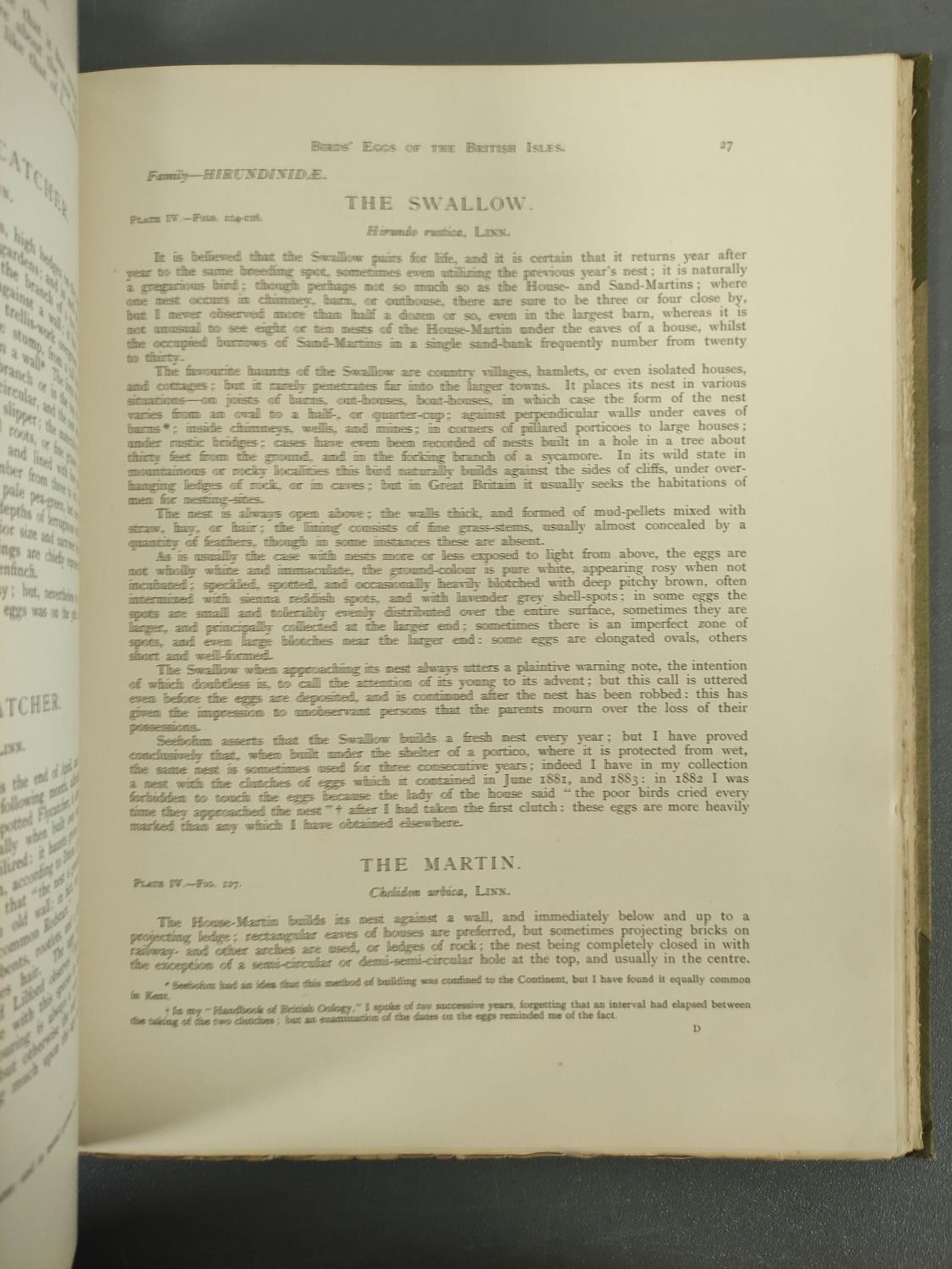 BUTLER A. G.  Birds of Great Britain & Ireland. 2 vols. Good col. plates by H. Gronvold & F. W. - Image 17 of 17