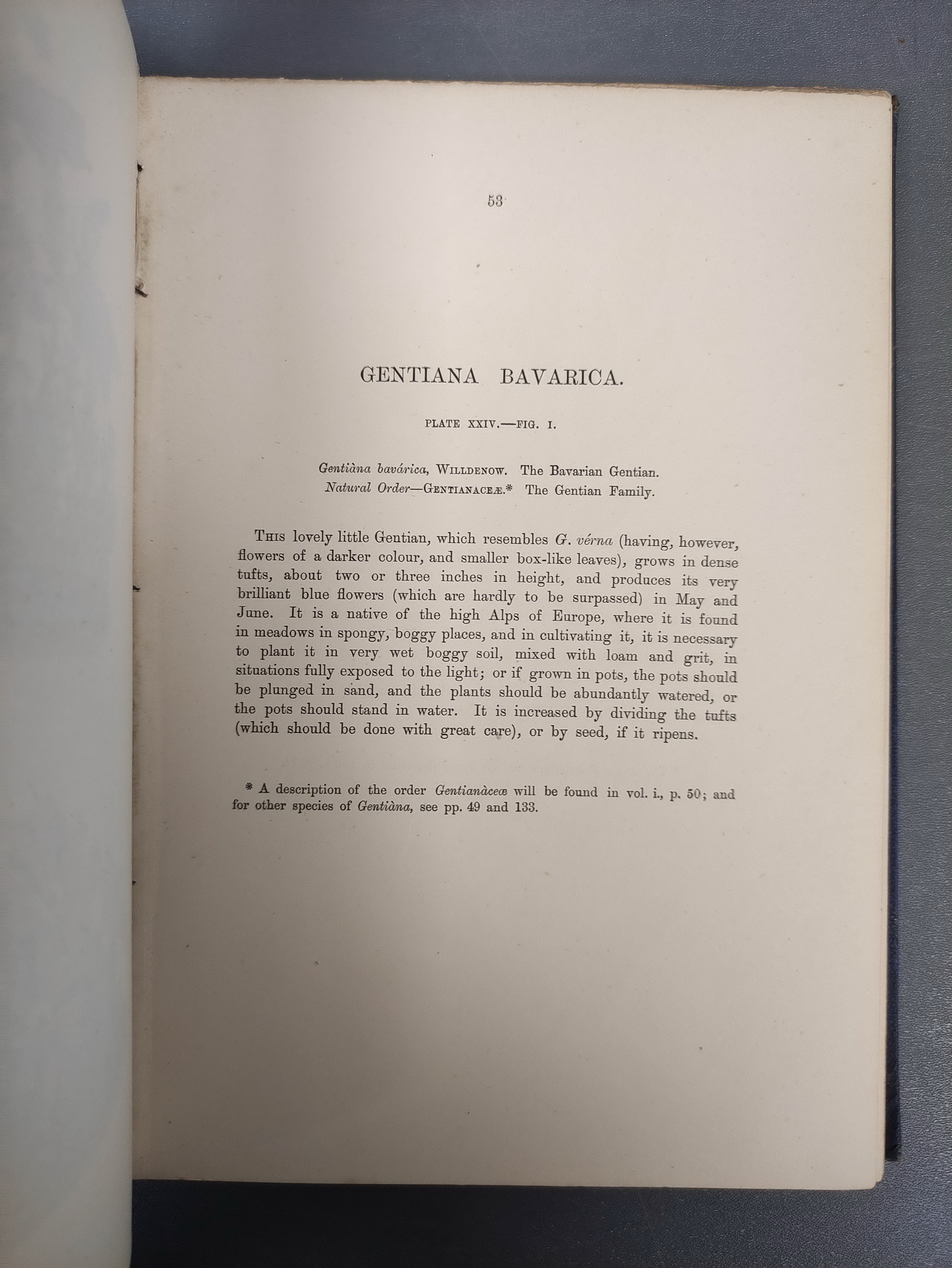 WOOSTER DAVID.  Alpine Plants. 2 vols. (First & Second Series). Many good col. plates. Quarto. Orig. - Image 6 of 10