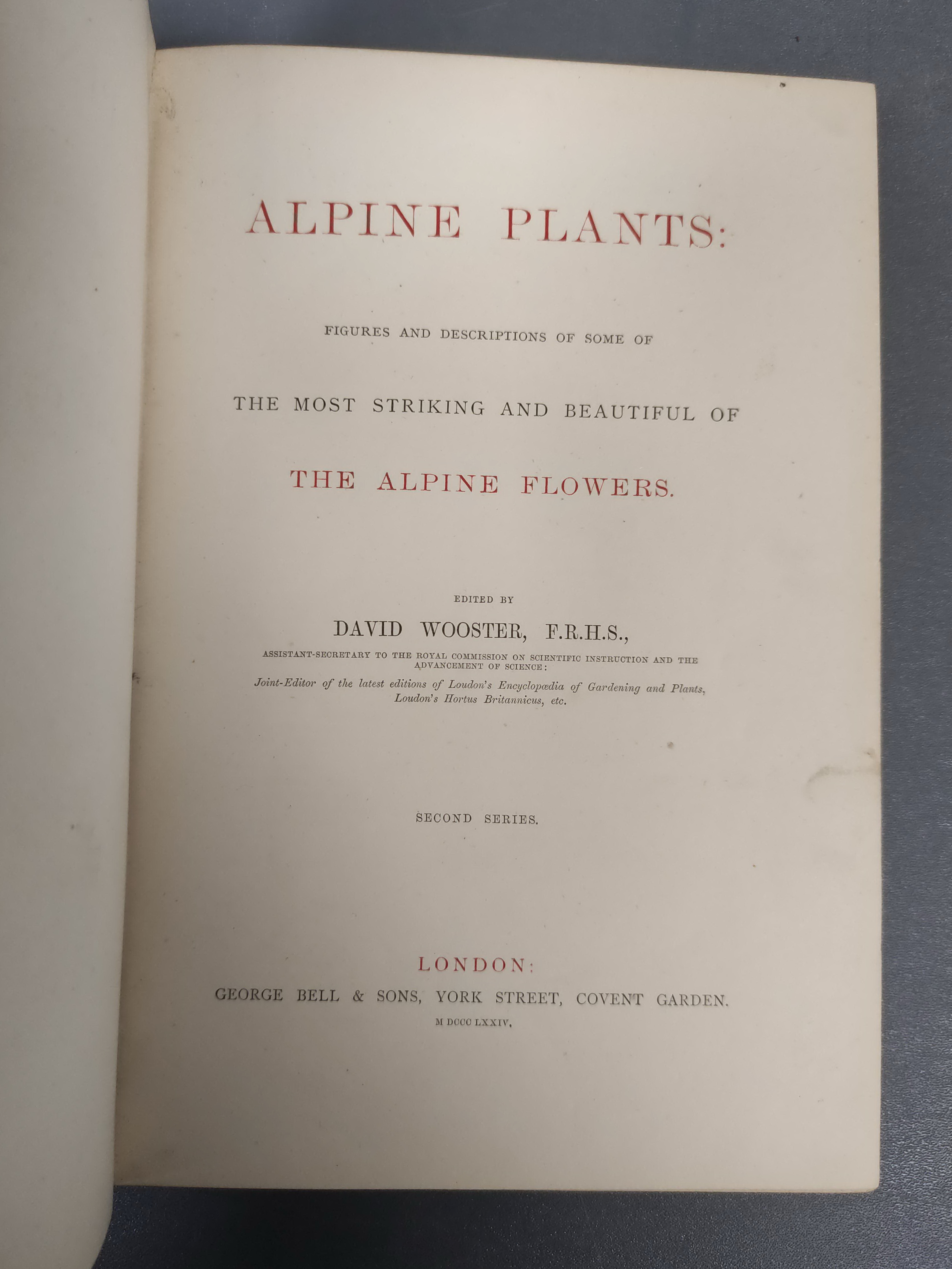 WOOSTER DAVID.  Alpine Plants. 2 vols. (First & Second Series). Many good col. plates. Quarto. Orig. - Image 3 of 10