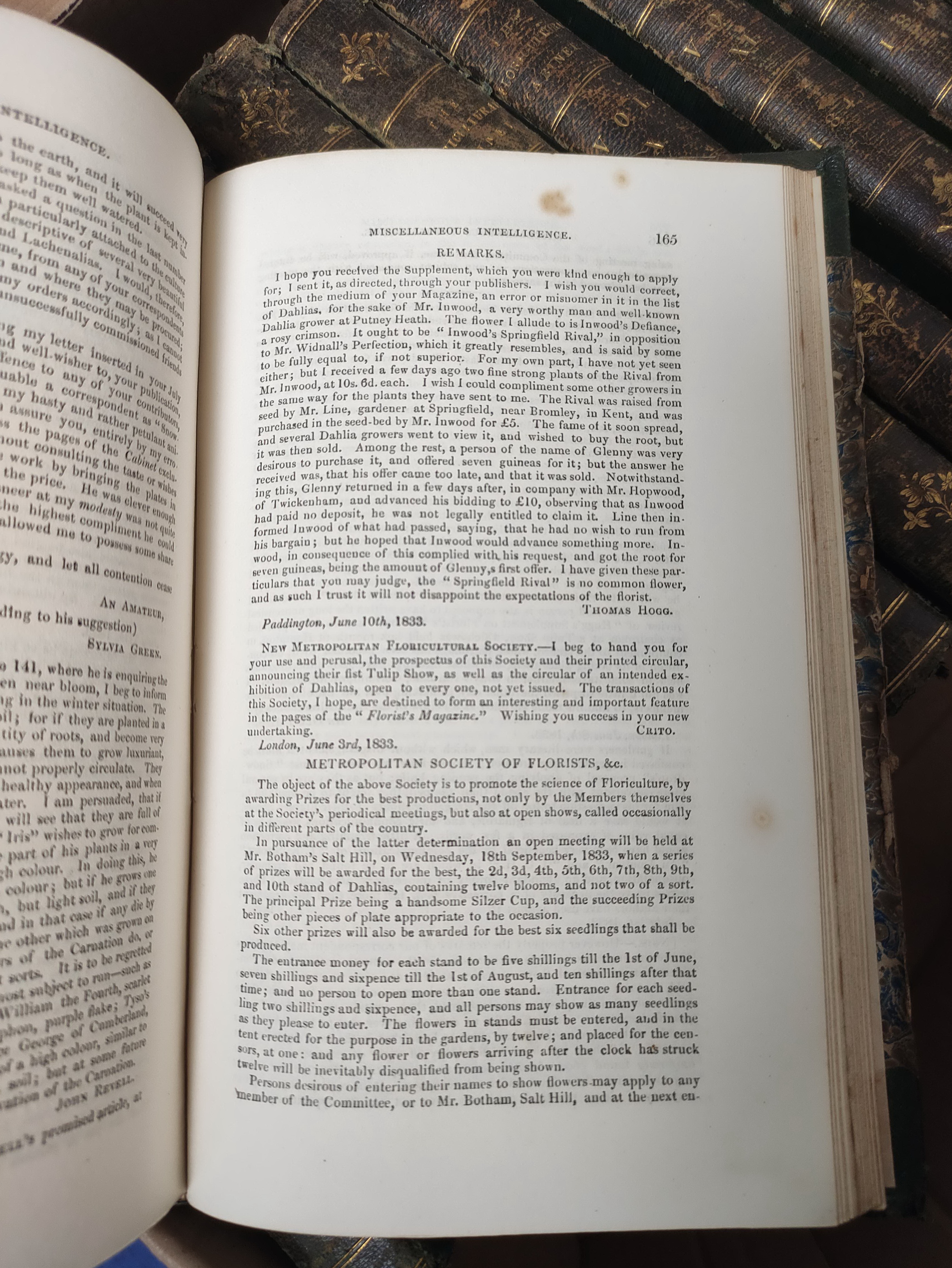 HARRISON JOSEPH.  The Floricultural Cabinet & Florist's Magazine. Vols. 1 to 13. Very many col. - Image 8 of 8