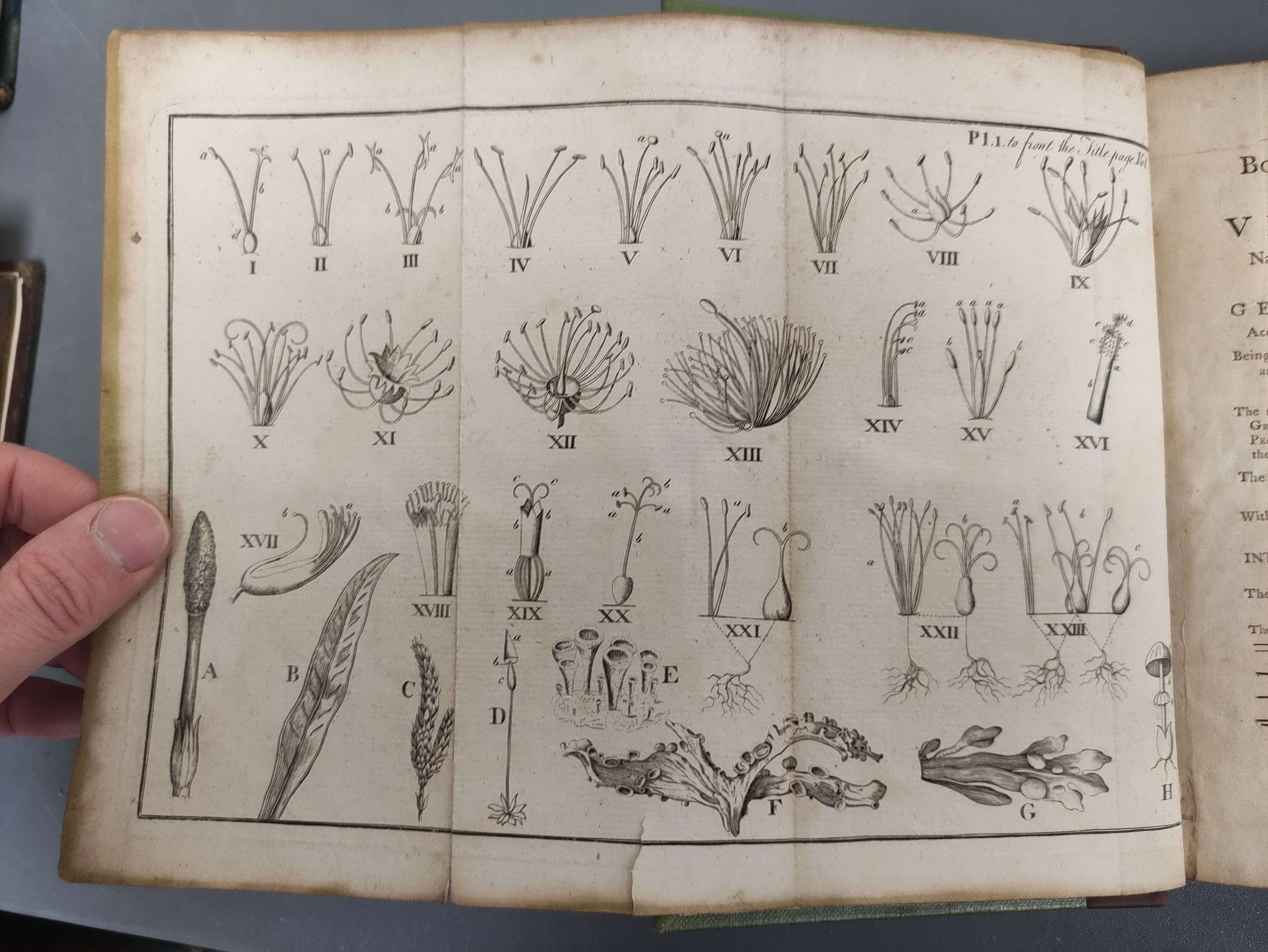 WITHERING WILLIAM.  A Botanical Arrangement of All the Vegetables Naturally Growing in Great Britain - Image 4 of 11