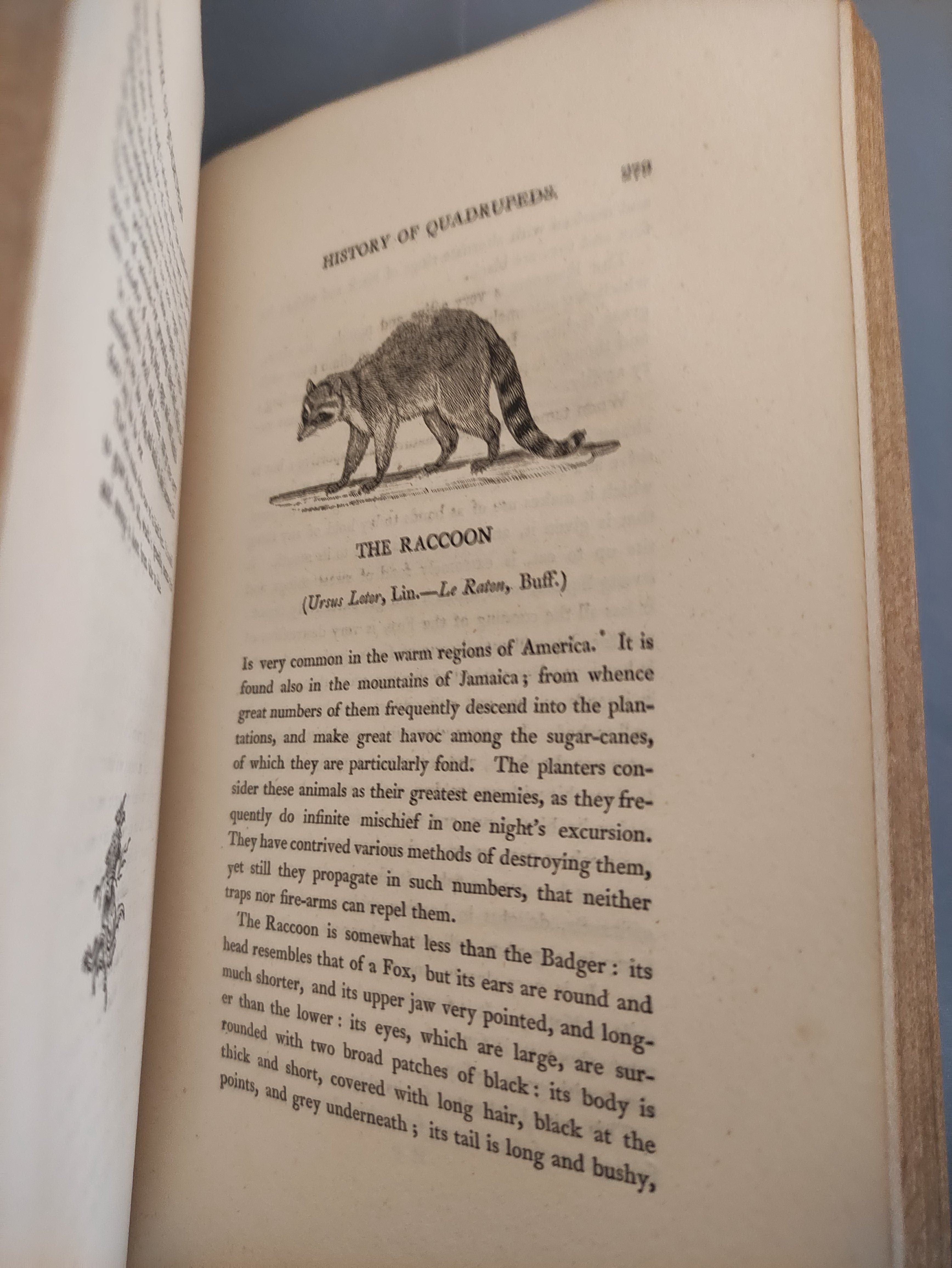 BEWICK THOMAS.  A General History of Quadrupeds. 525pp. Many wood eng. vignettes. Large paper 8vo. - Image 9 of 9