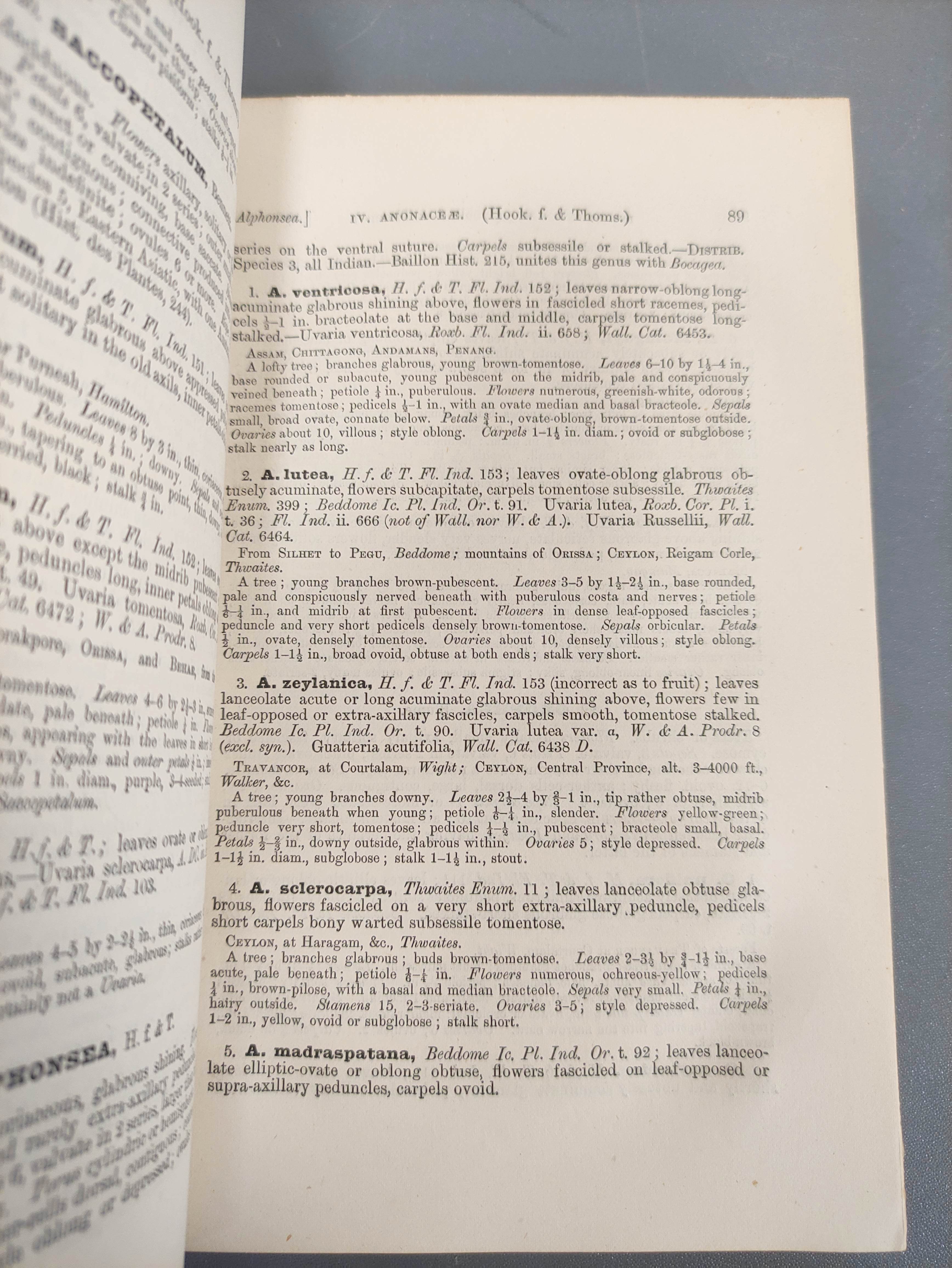 HOOKER J. D.  The Flora of British India. Vols. 1 to 6. Orig. dark blue cloth, some wear. 1875-1894. - Image 6 of 9