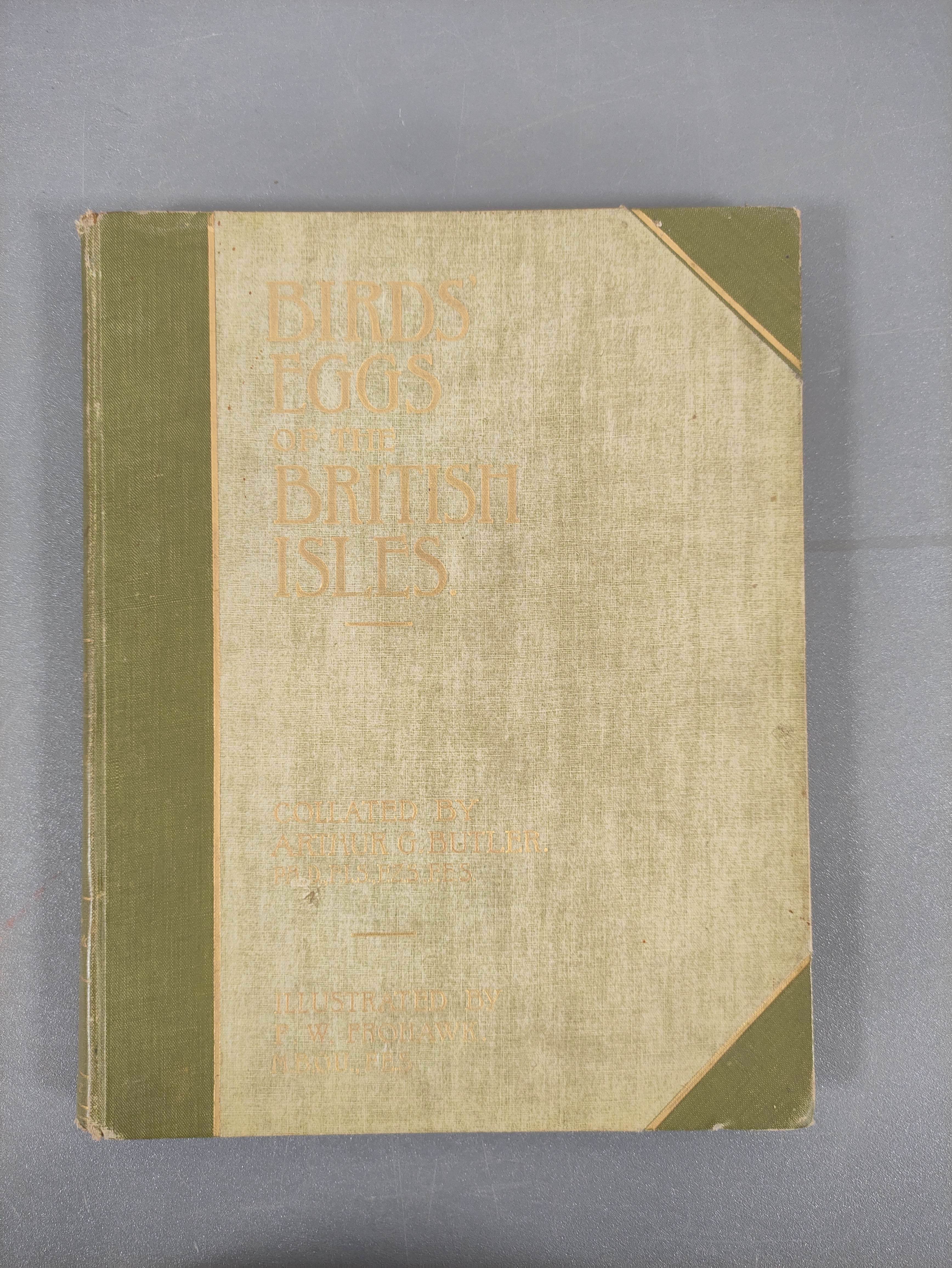 BUTLER A. G.  Birds of Great Britain & Ireland. 2 vols. Good col. plates by H. Gronvold & F. W. - Image 2 of 17