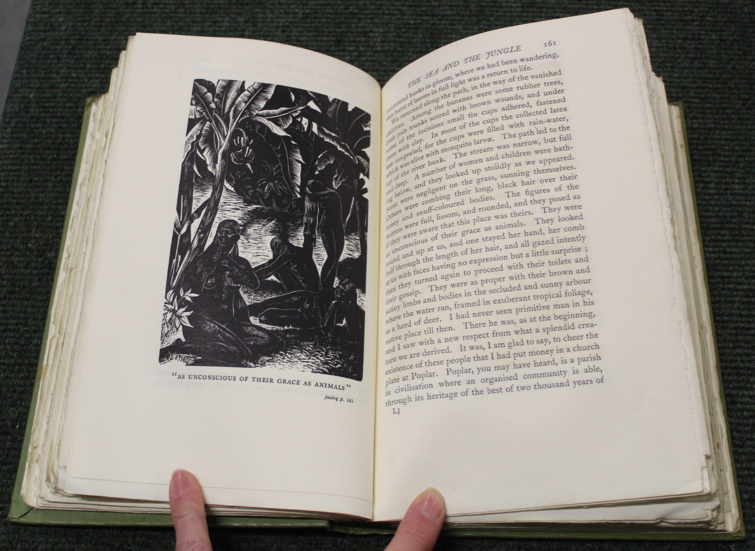 TOMLINSON H. M.  The Sea & the Jungle. Signed ltd. ed. 495/515. Woodcut illus. by Clare Leighton. - Image 23 of 32