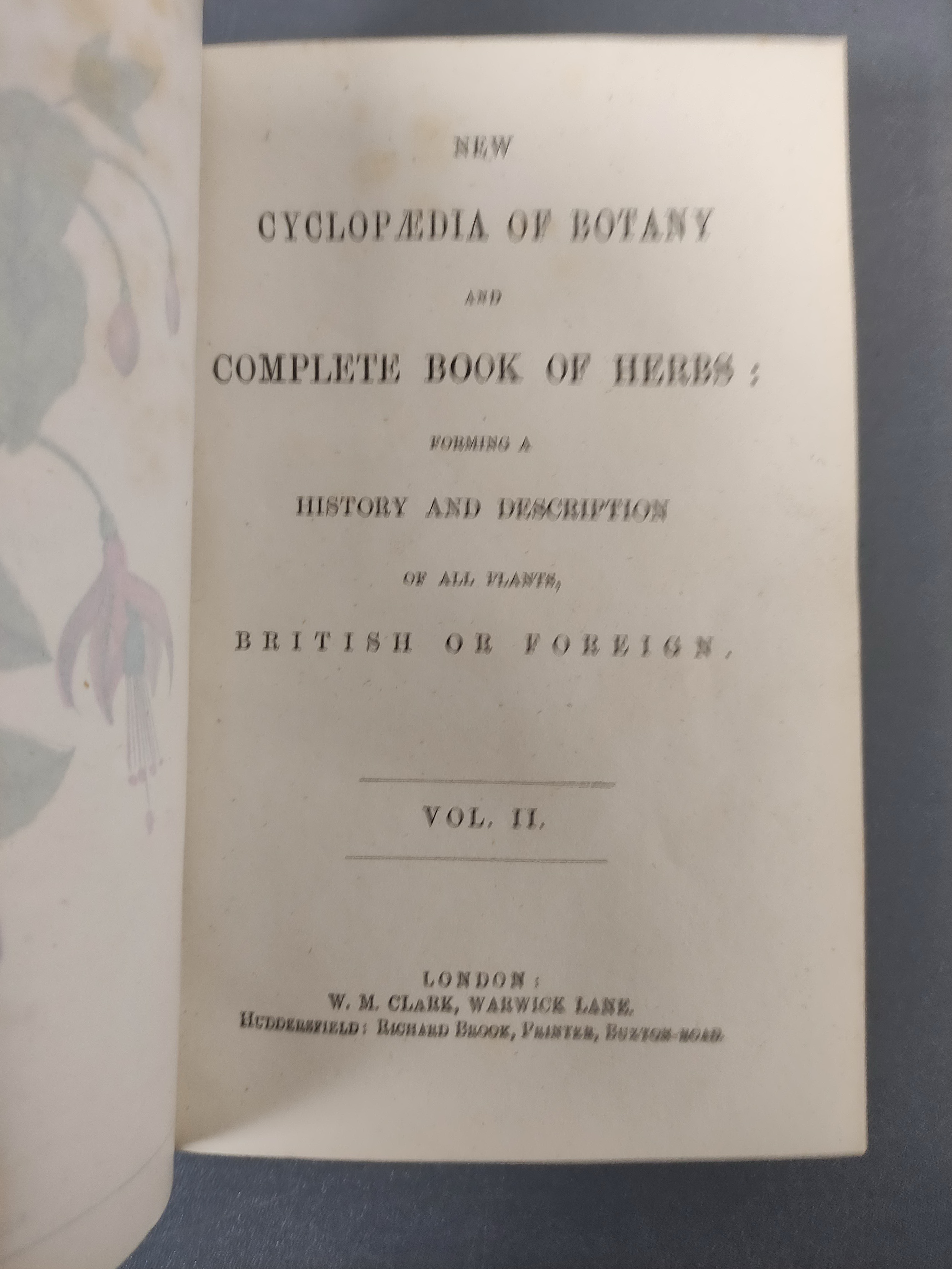 CLARK W. M. & BROOK R. (Pubs).  The Cyclopaedia of Botany or A Correct History & Description of - Image 8 of 12