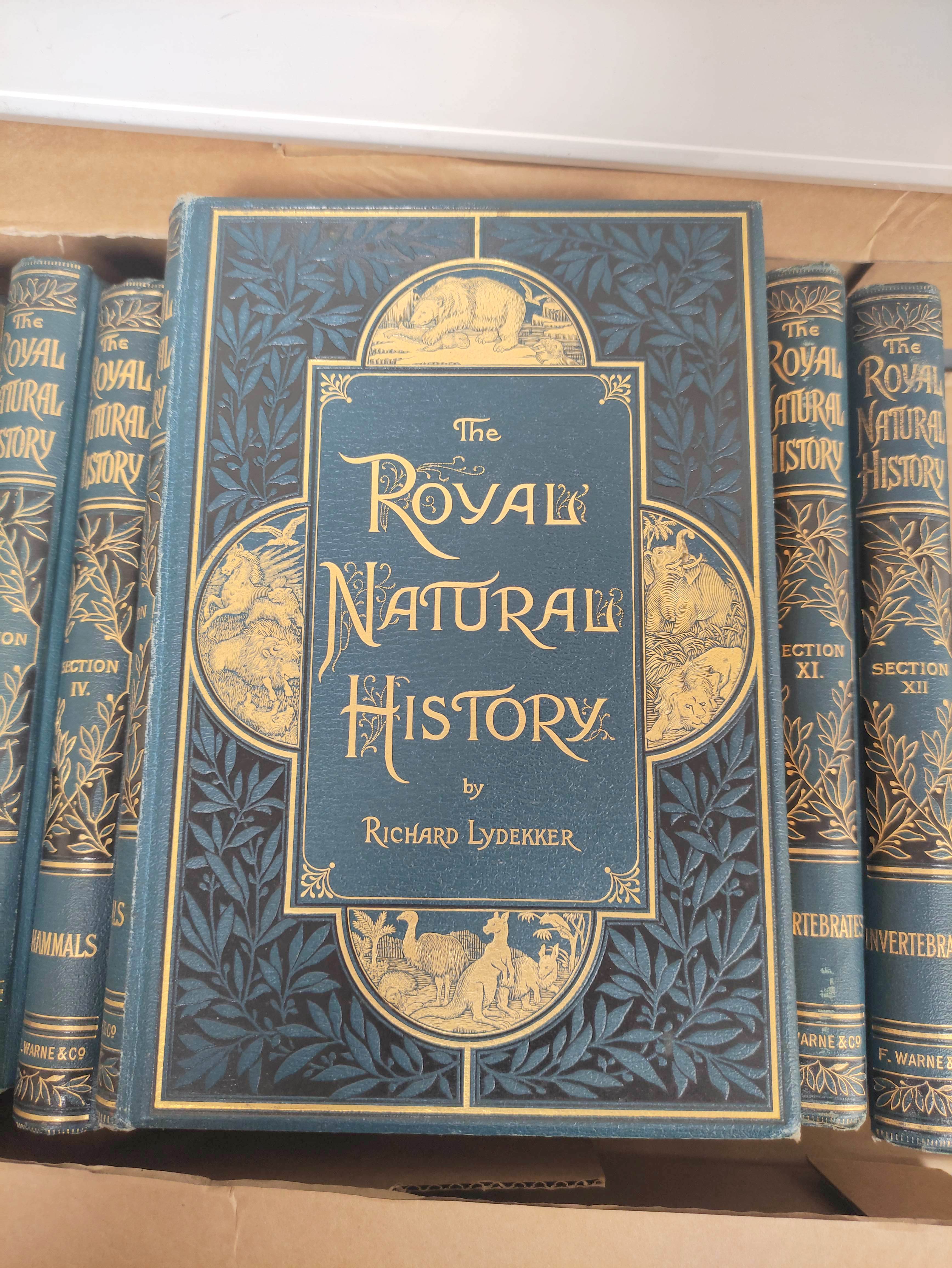 LYDEKKER RICHARD.  The Royal Natural History. 12 vols. Many col. plates & other illus. Royal 8vo. - Image 2 of 9