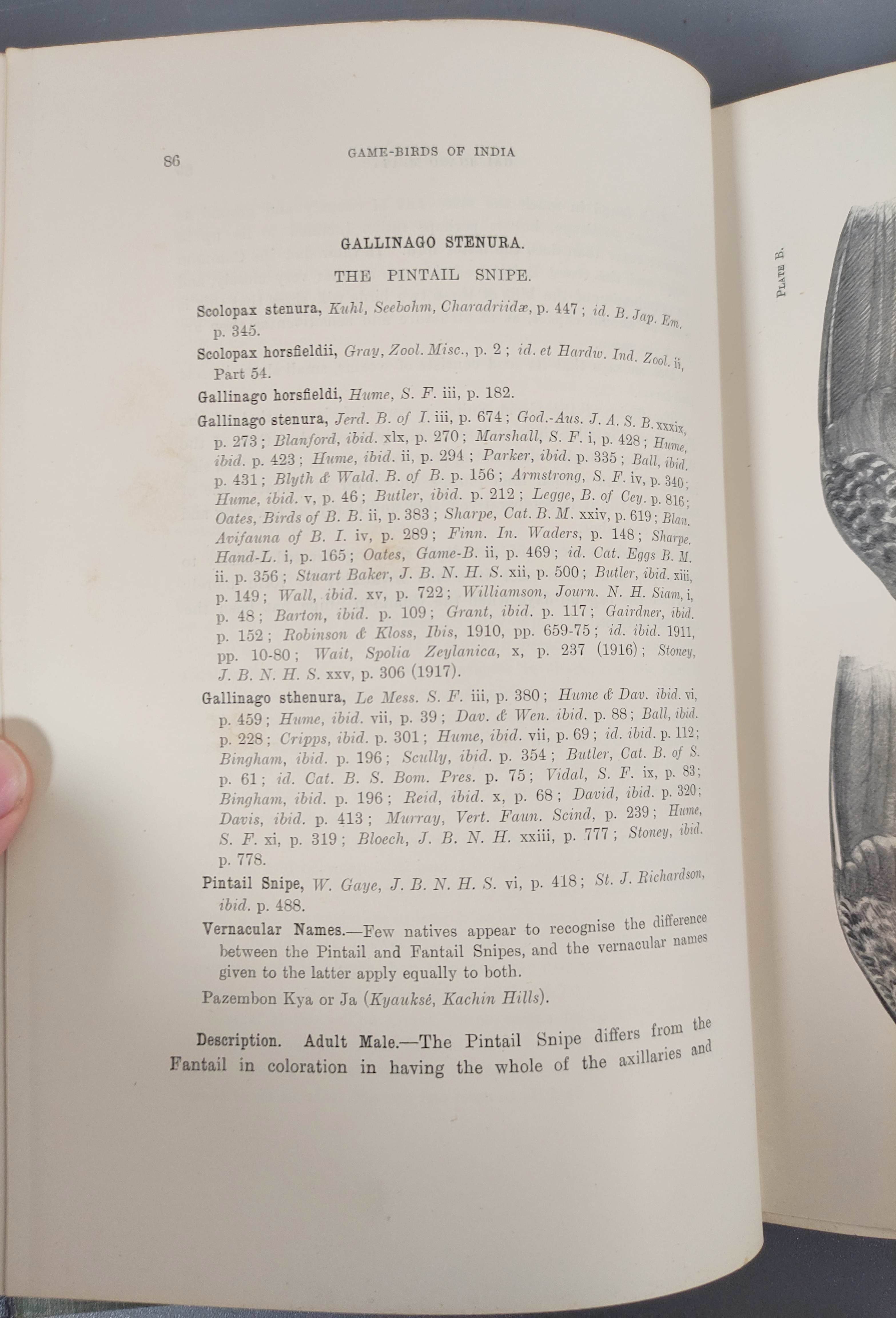 STUART BAKER E. C.  The Game-Birds of India, Burma & Ceylon. Vols. 1 & 2. 49 col. plates. Royal 8vo. - Image 13 of 13