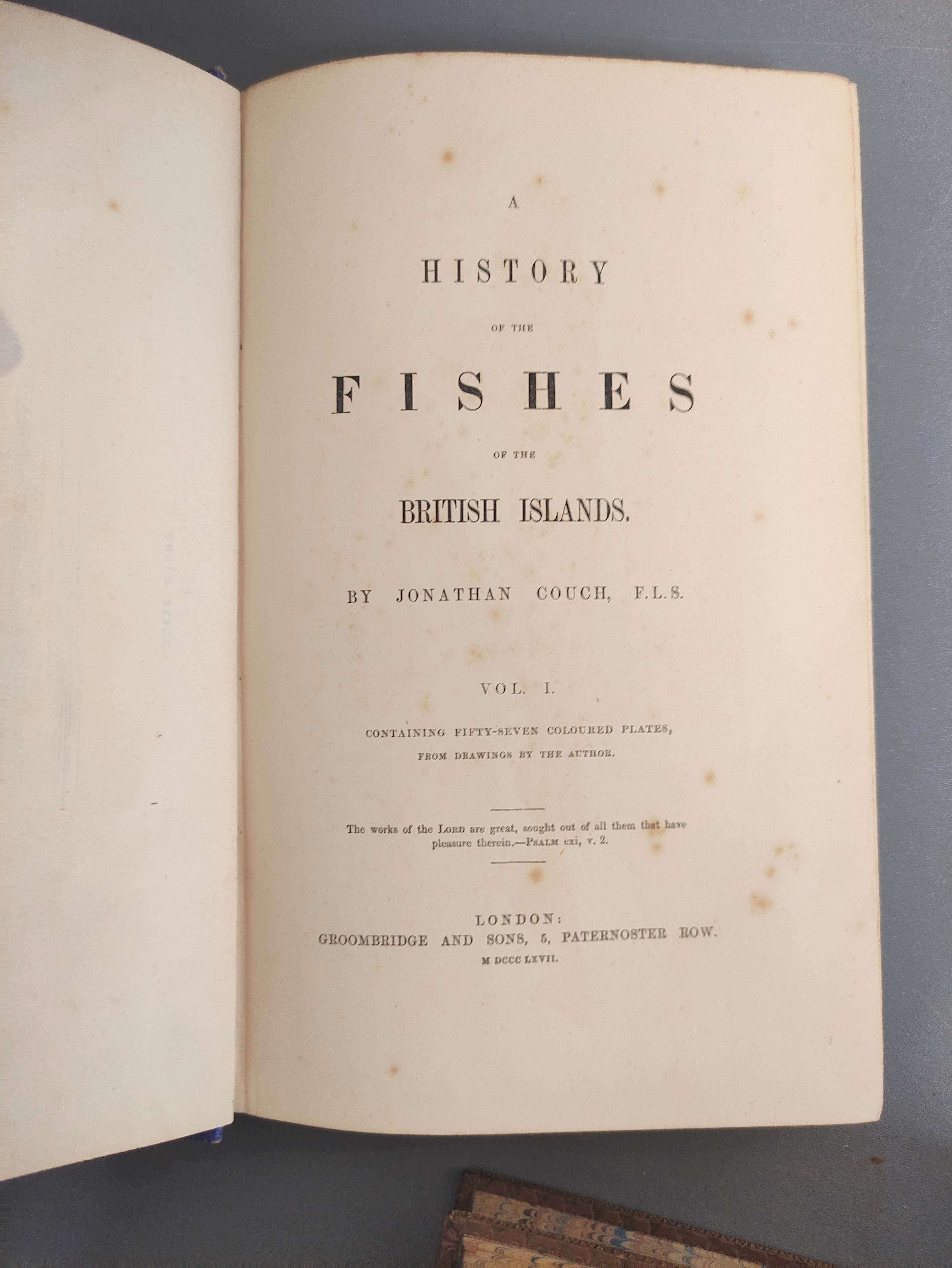 COUCH JONATHAN.  A History of the Fishes of the British Islands. 4 vols. Many hand col. eng. - Image 3 of 9