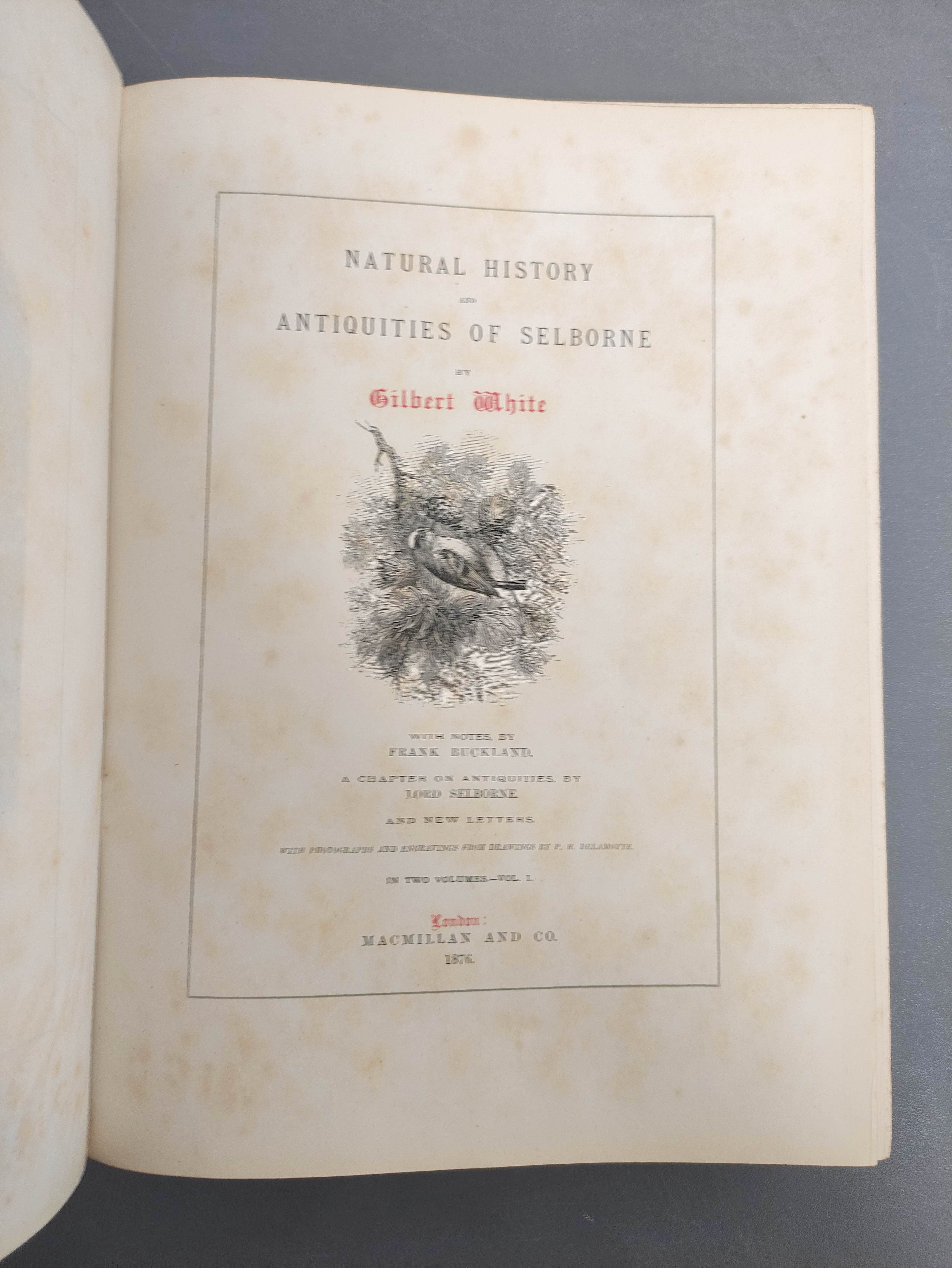 WHITE GILBERT.  Natural History & Antiquities of Selborne ... Notes by Frank Buckland. 2 vols. - Image 2 of 13