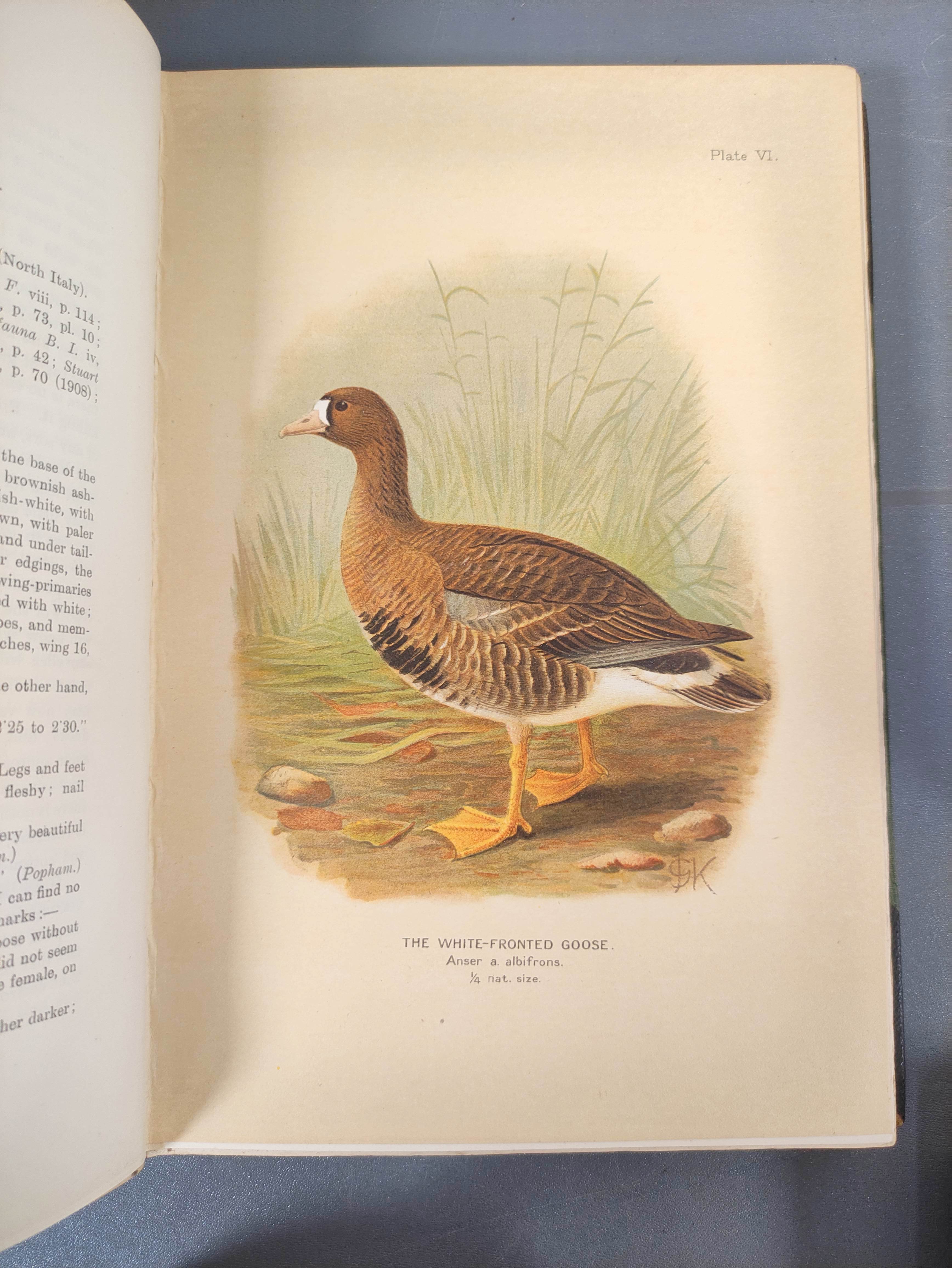 STUART BAKER E. C.  The Game-Birds of India, Burma & Ceylon. Vols. 1 & 2. 49 col. plates. Royal 8vo. - Image 7 of 13