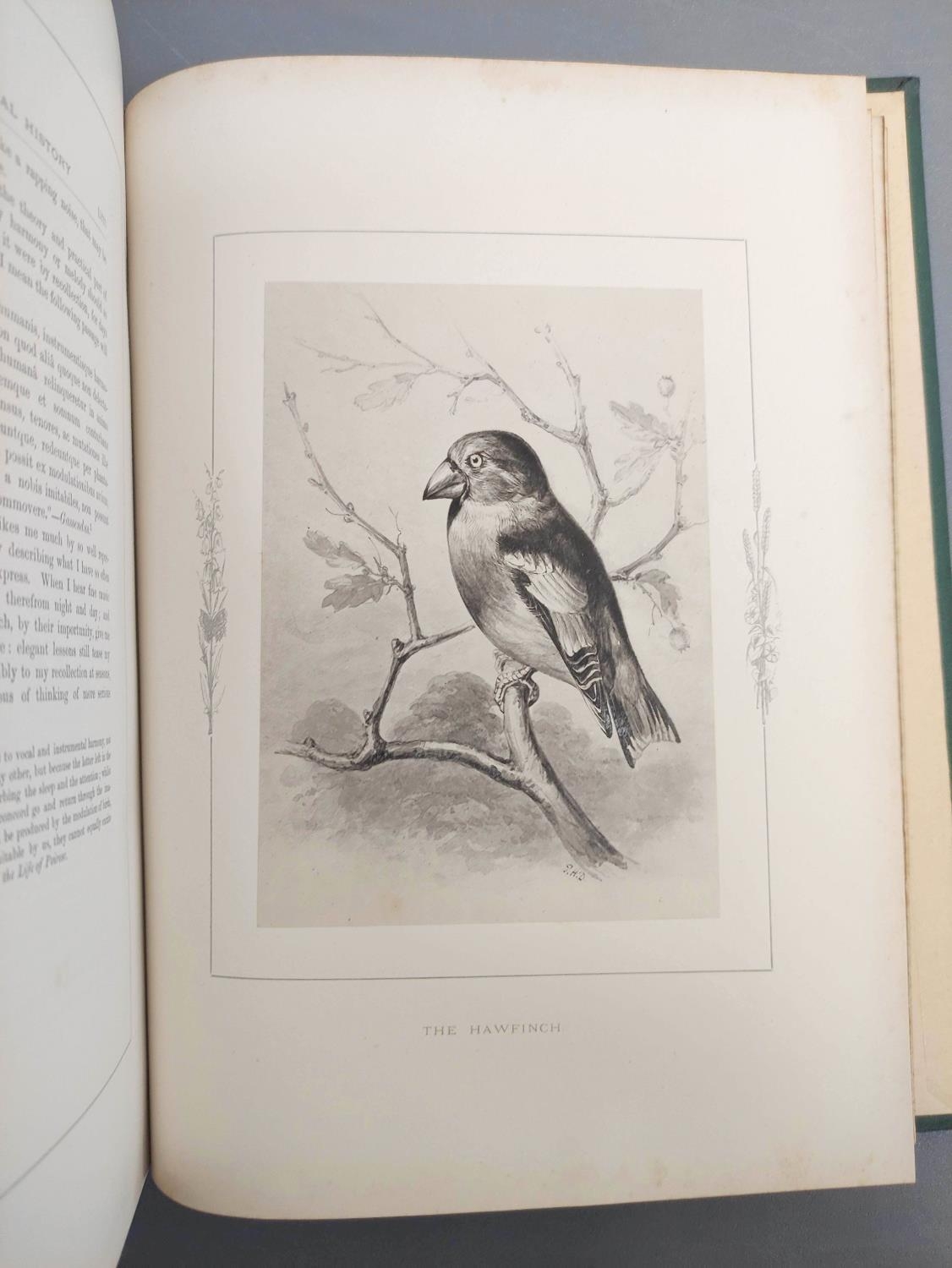 WHITE GILBERT.  Natural History & Antiquities of Selborne ... Notes by Frank Buckland. 2 vols. - Image 8 of 13