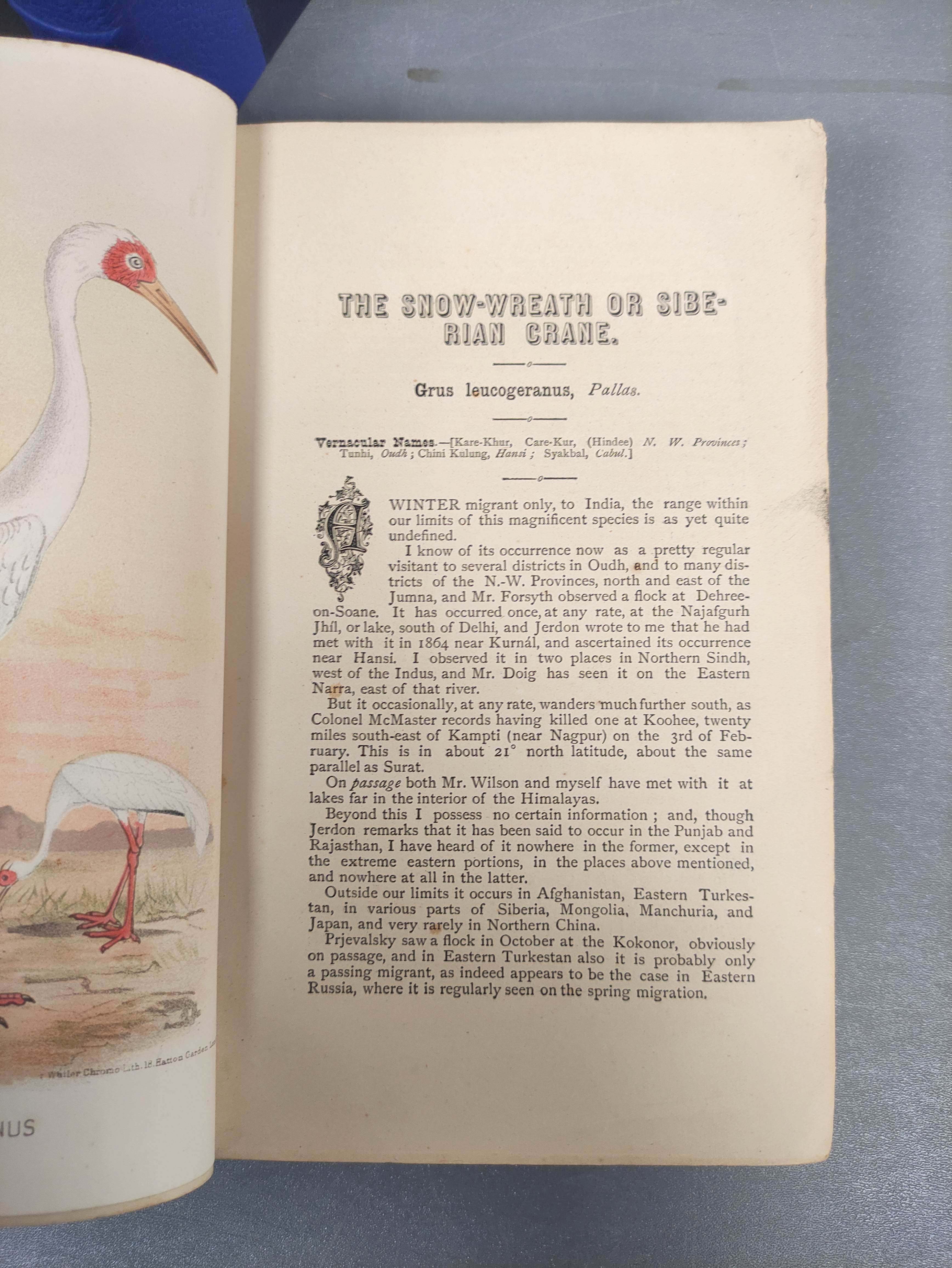 HUME A. O. & MARSHALL C. H. T. (Pubs).  The Game Birds of India, Burma & Ceylon. 3 vols. Eng. - Image 10 of 11