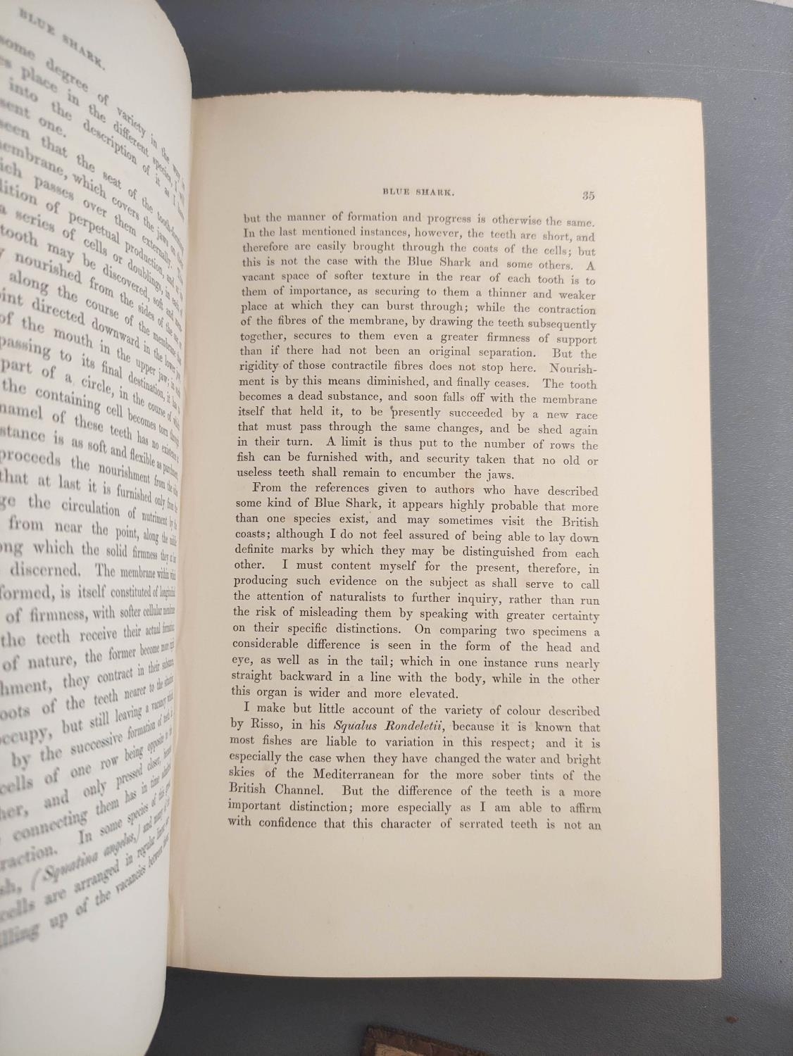 COUCH JONATHAN.  A History of the Fishes of the British Islands. 4 vols. Many hand col. eng. - Image 8 of 9