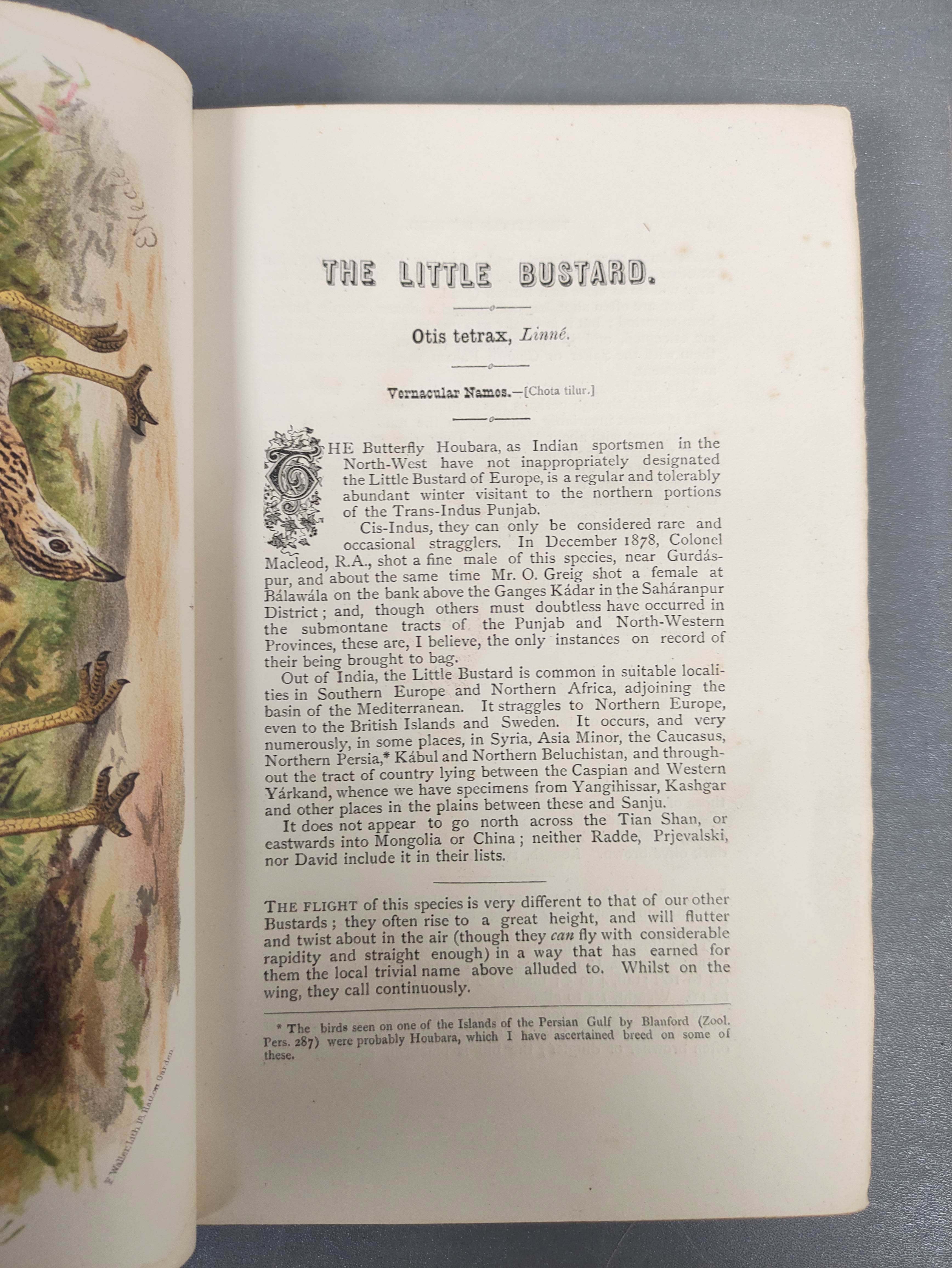 HUME A. O. & MARSHALL C. H. T. (Pubs).  The Game Birds of India, Burma & Ceylon. 3 vols. Eng. - Image 4 of 11