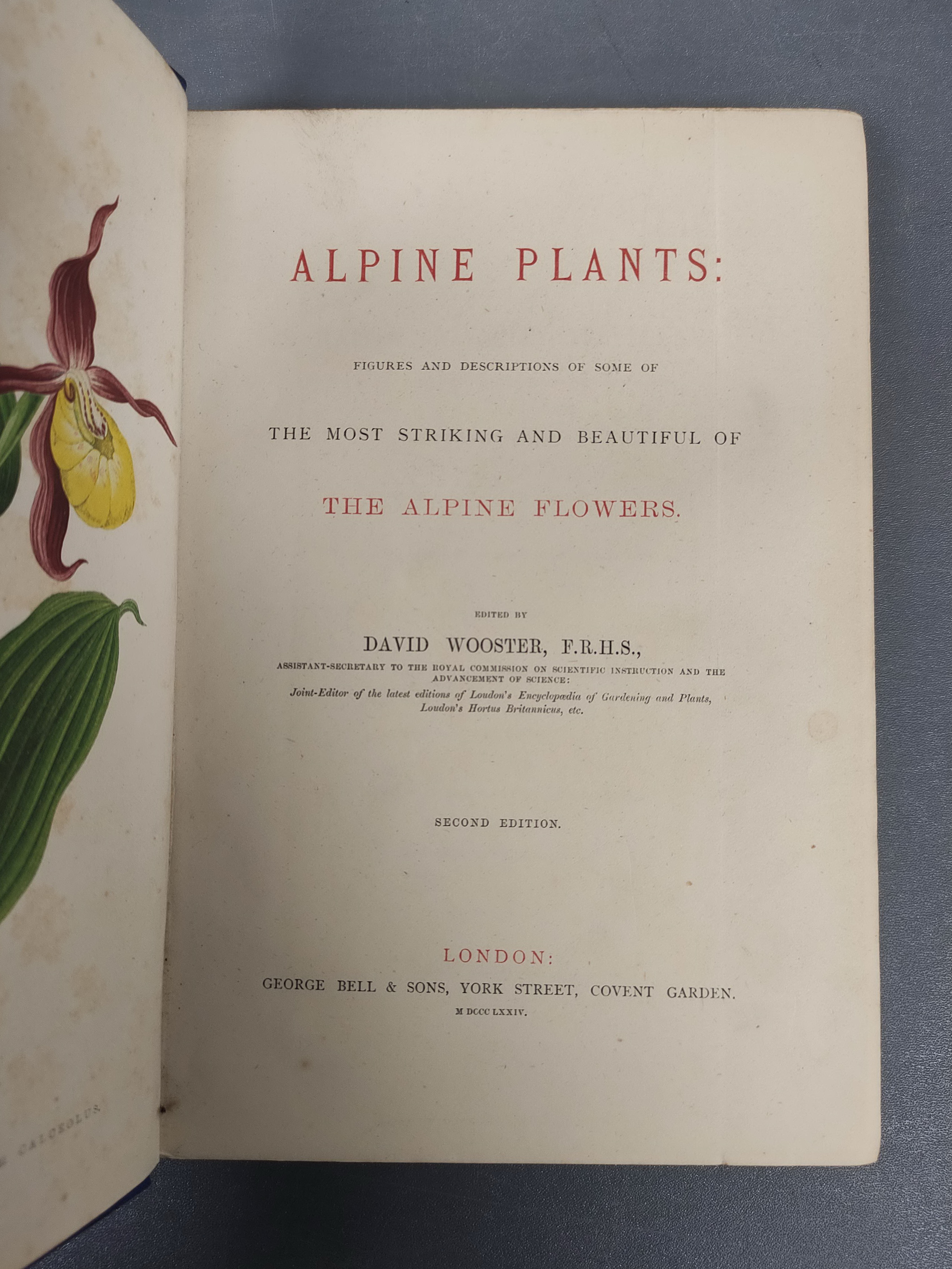 WOOSTER DAVID.  Alpine Plants. 2 vols. (First & Second Series). Many good col. plates. Quarto. Orig. - Image 8 of 10