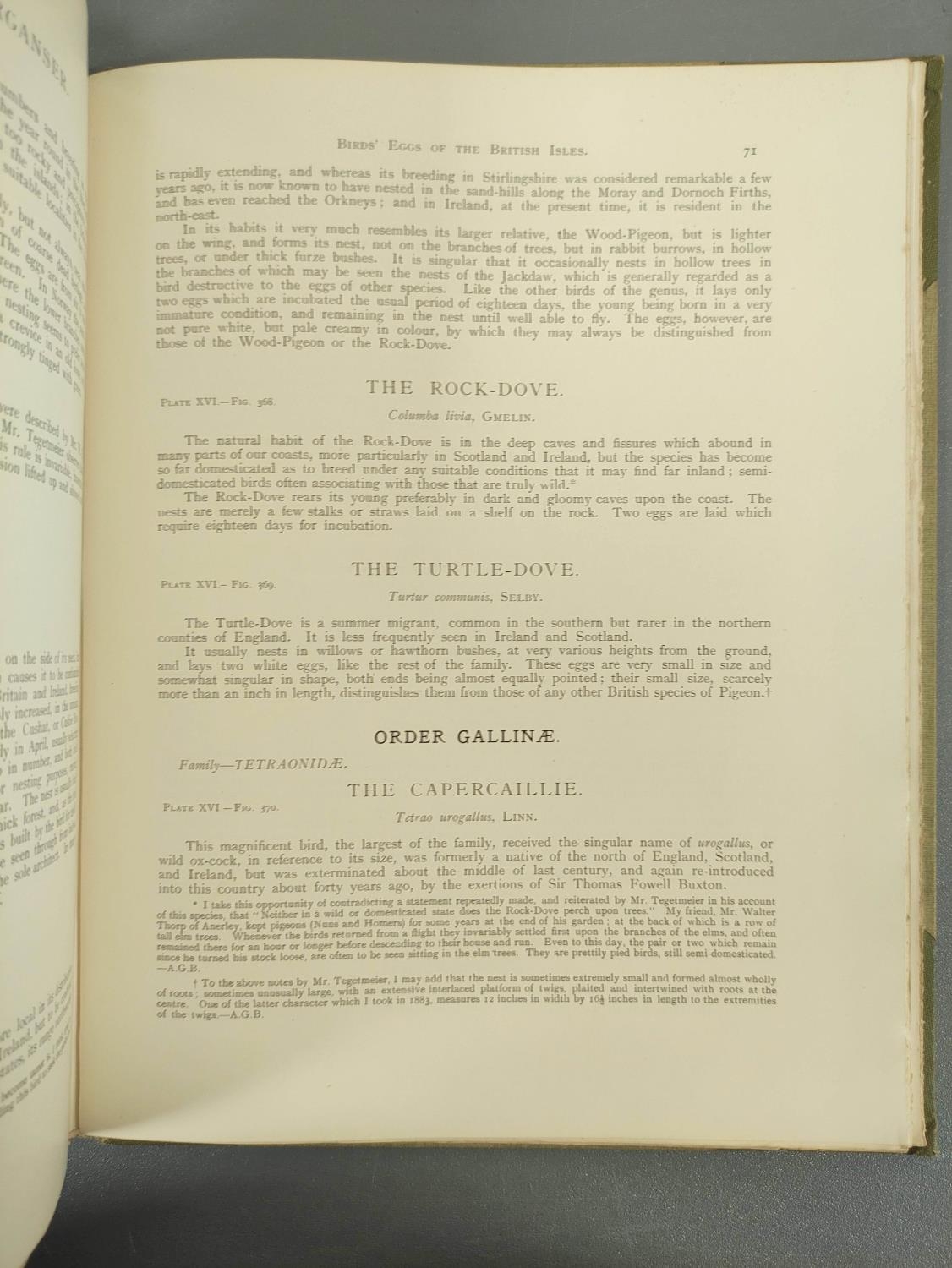 BUTLER A. G.  Birds of Great Britain & Ireland. 2 vols. Good col. plates by H. Gronvold & F. W. - Image 16 of 17