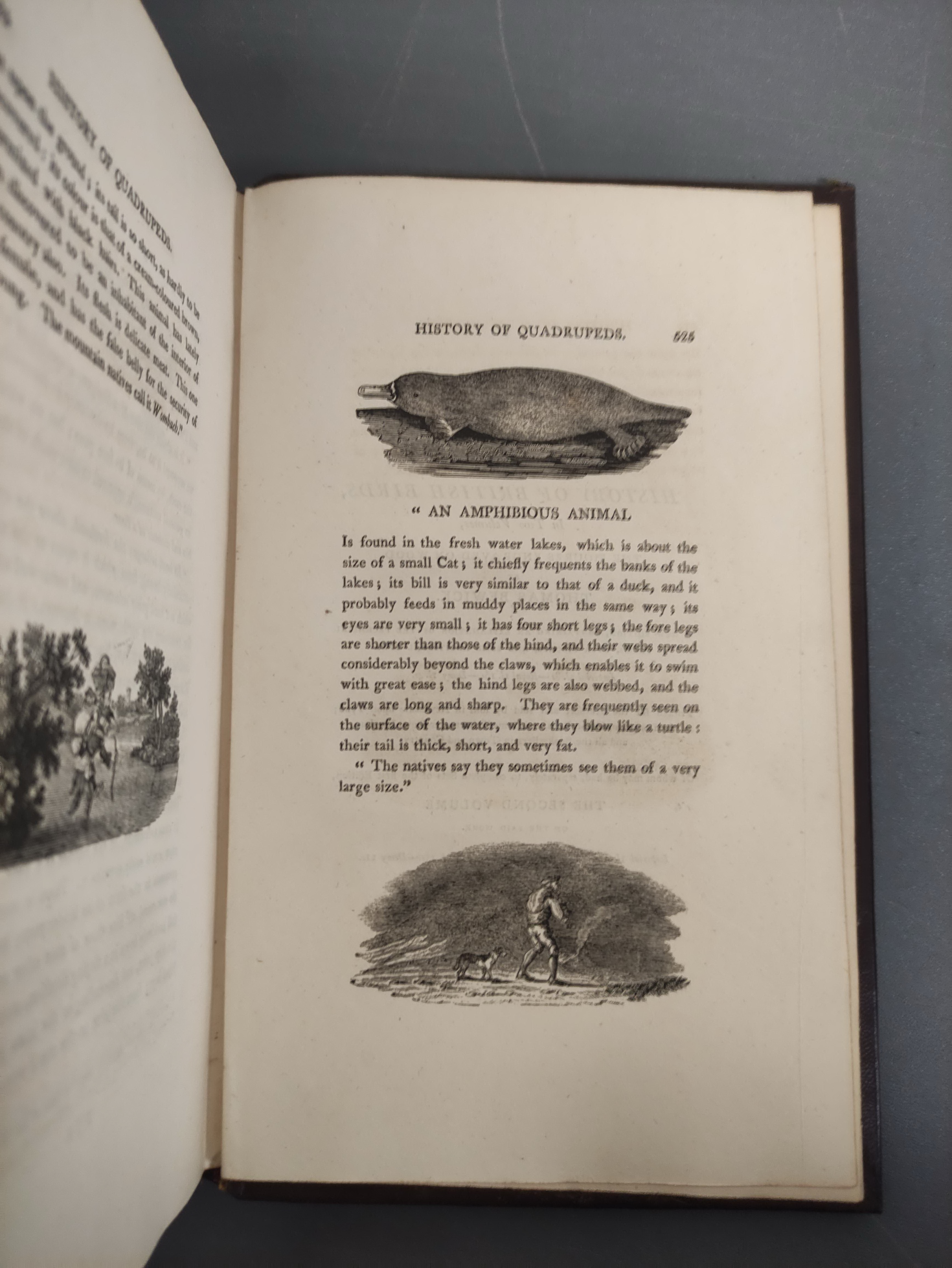 BEWICK THOMAS.  A General History of Quadrupeds. 525pp. Many wood eng. vignettes. Large paper 8vo. - Image 6 of 9