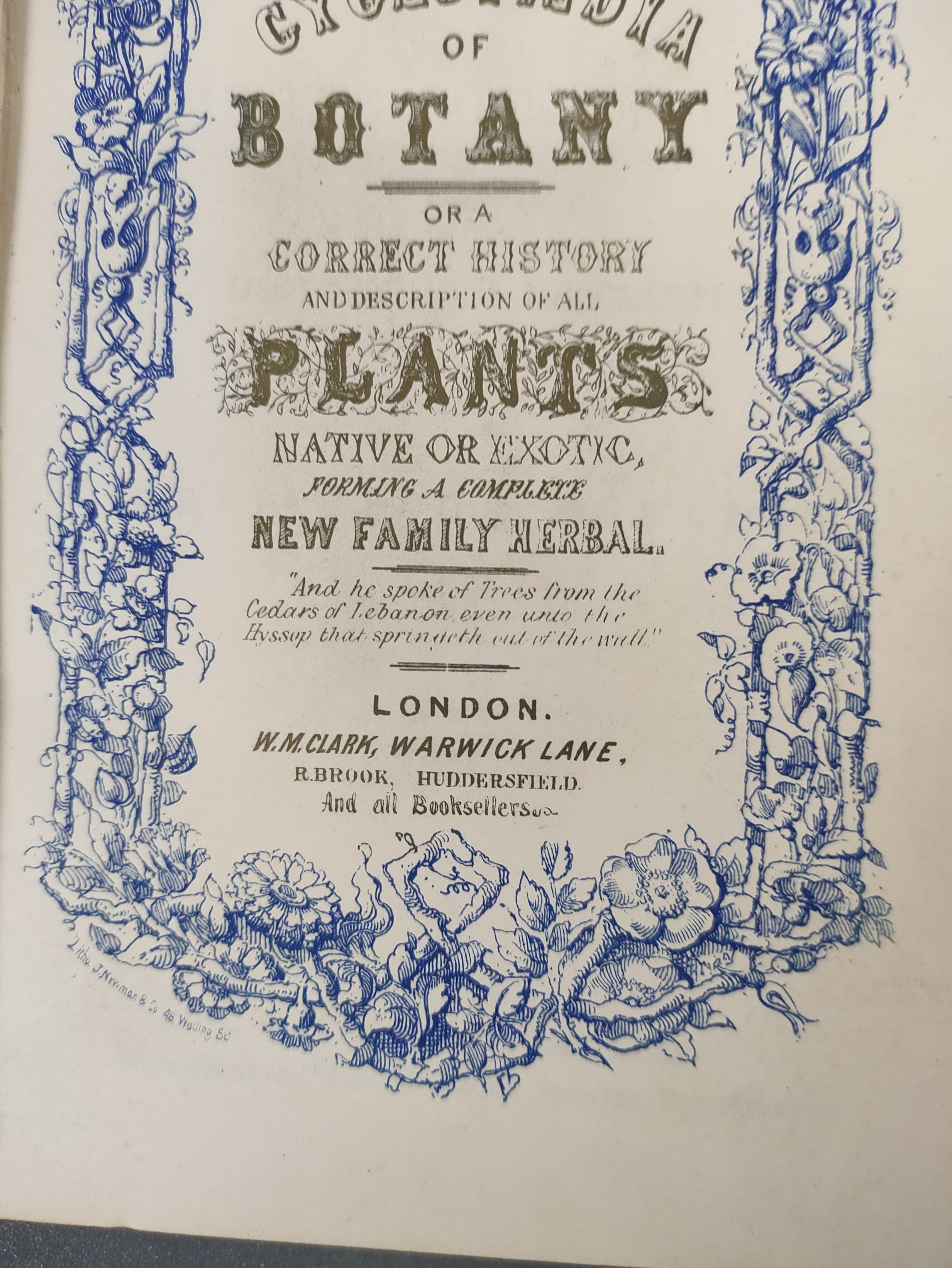 CLARK W. M. & BROOK R. (Pubs).  The Cyclopaedia of Botany or A Correct History & Description of - Image 3 of 12