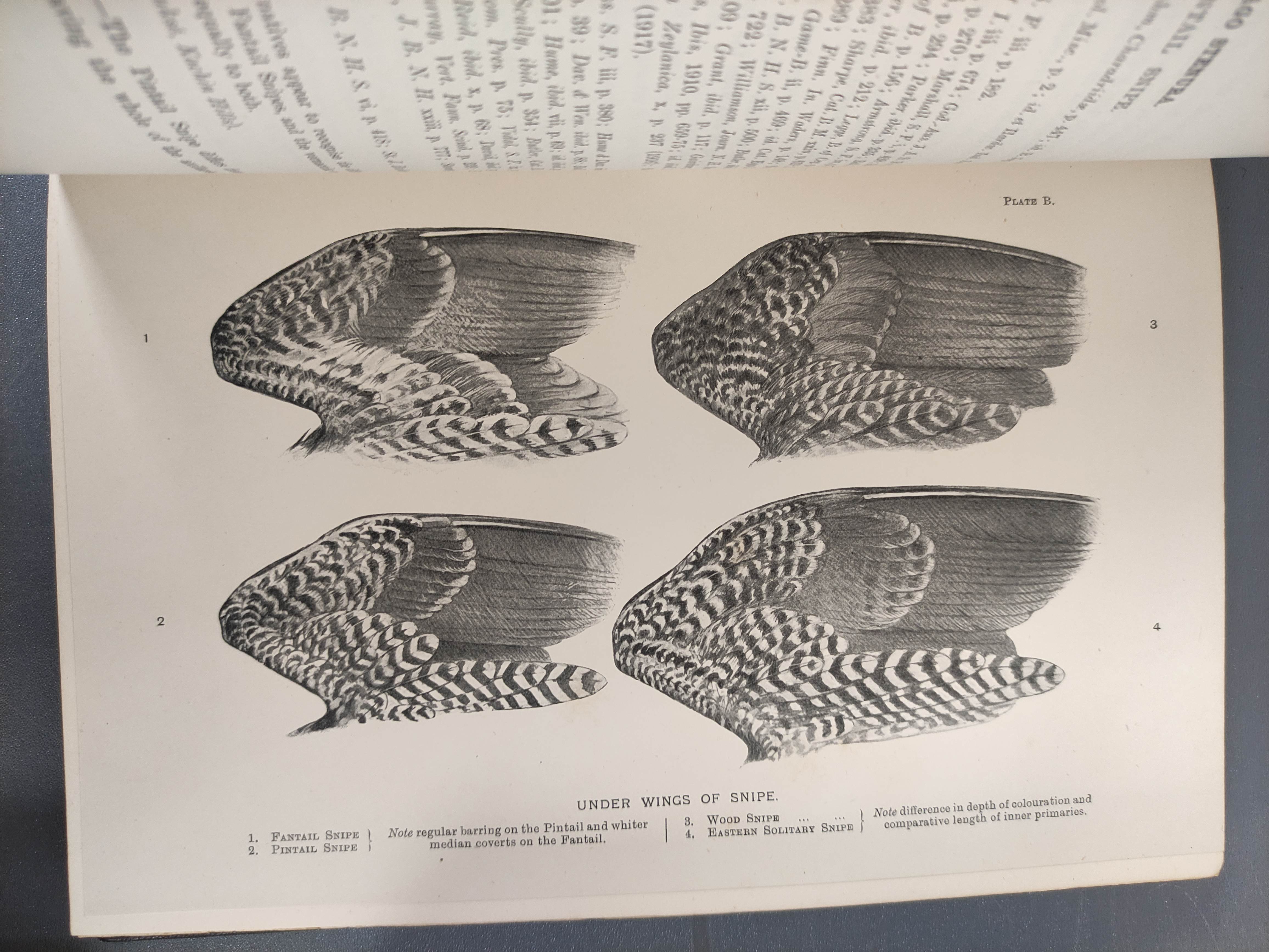 STUART BAKER E. C.  The Game-Birds of India, Burma & Ceylon. Vols. 1 & 2. 49 col. plates. Royal 8vo. - Image 12 of 13