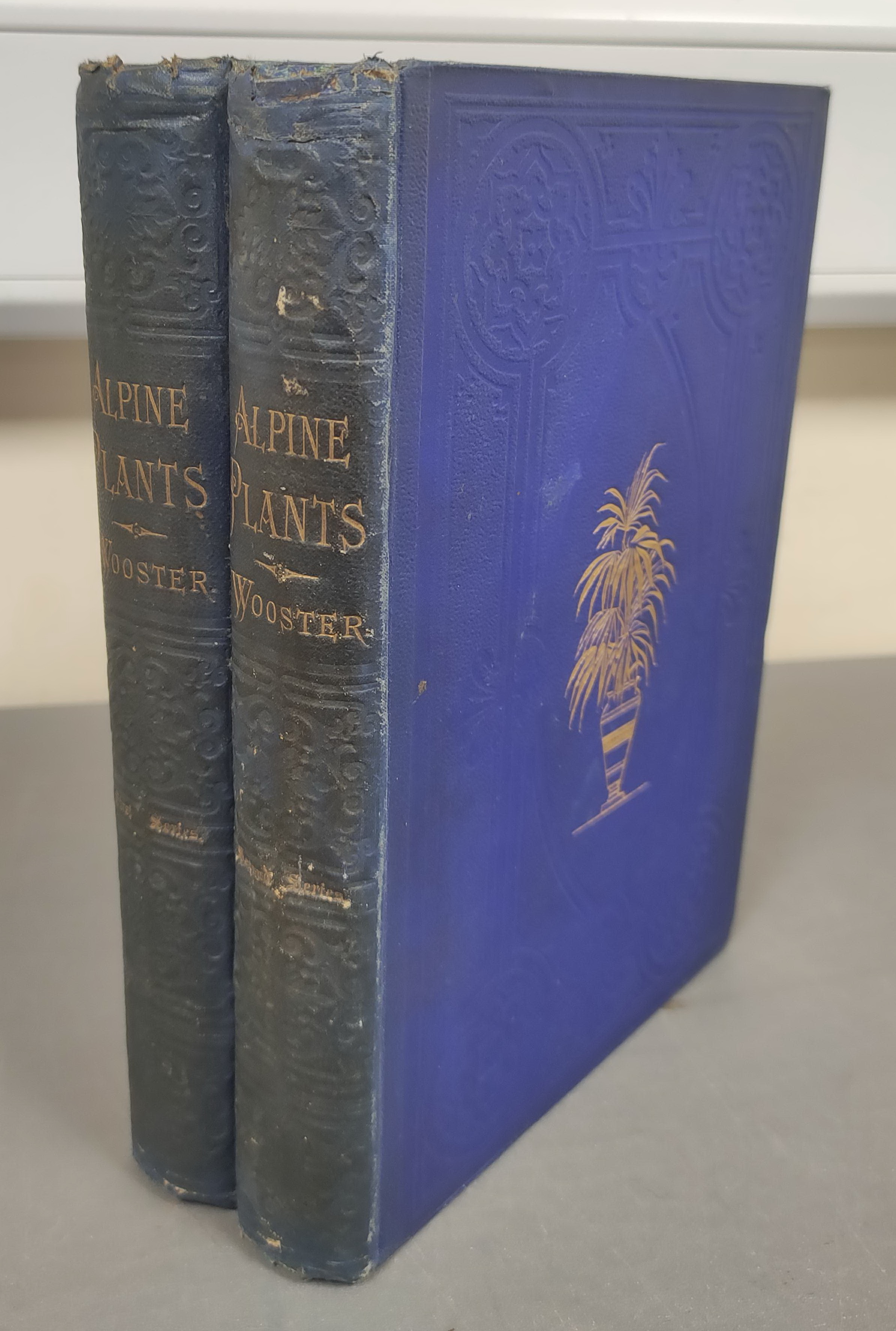 WOOSTER DAVID.  Alpine Plants. 2 vols. (First & Second Series). Many good col. plates. Quarto. Orig.