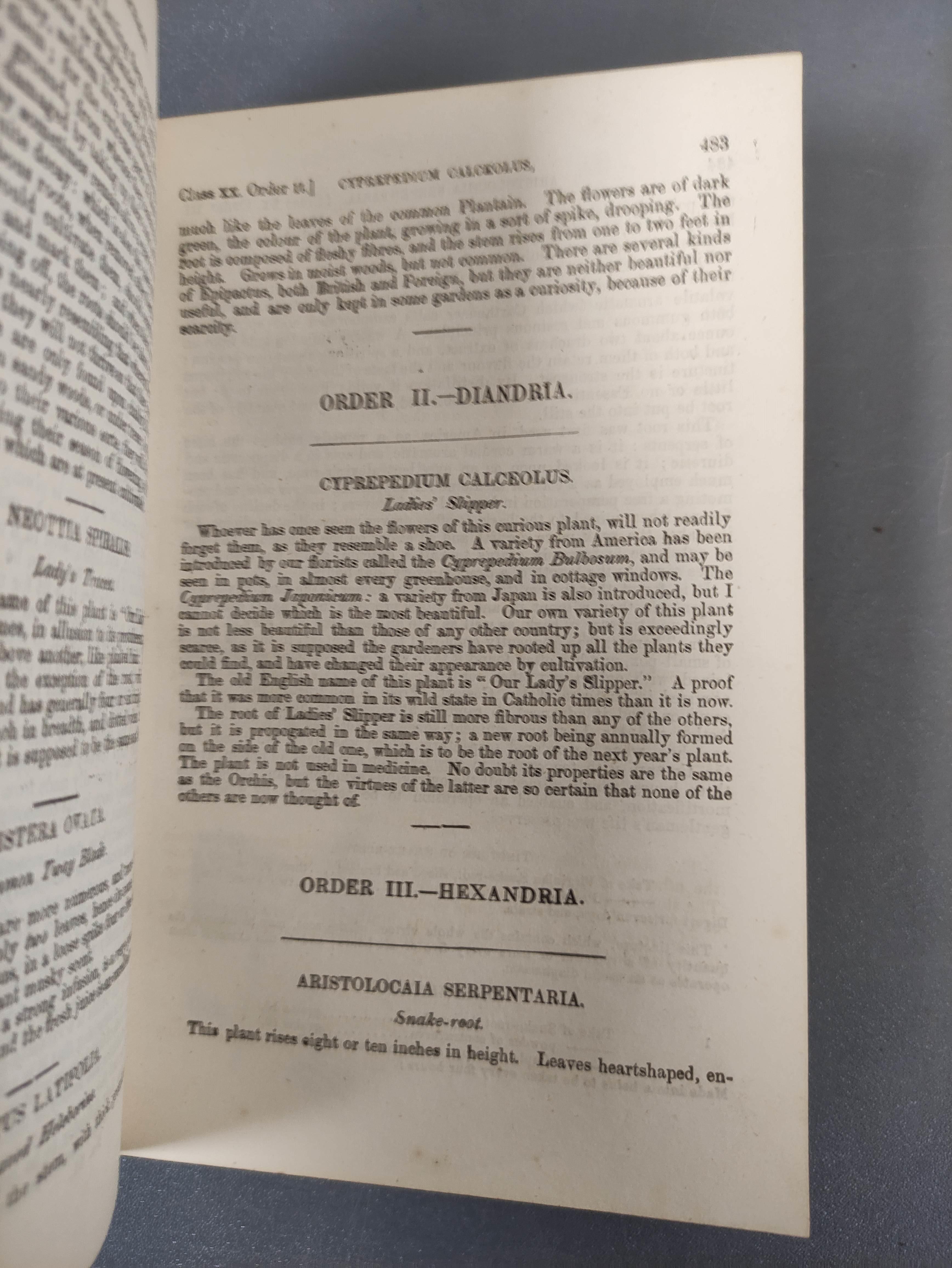 CLARK W. M. & BROOK R. (Pubs).  The Cyclopaedia of Botany or A Correct History & Description of - Image 12 of 12