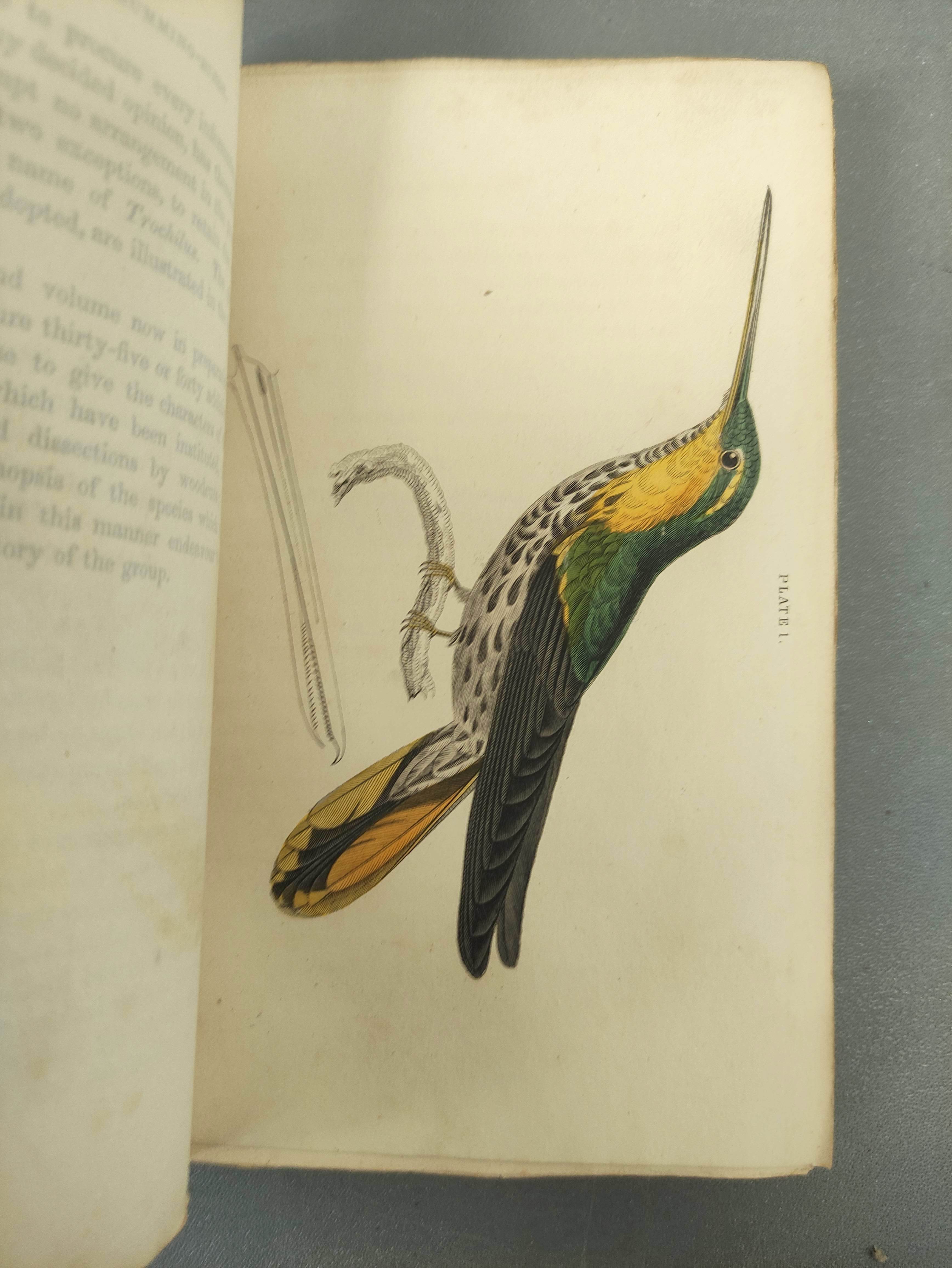 JARDINE SIR WILLIAM.  The Naturalist's Library. Ornithology vols. 1 & 2 re. Humming Birds. Eng. - Image 7 of 16