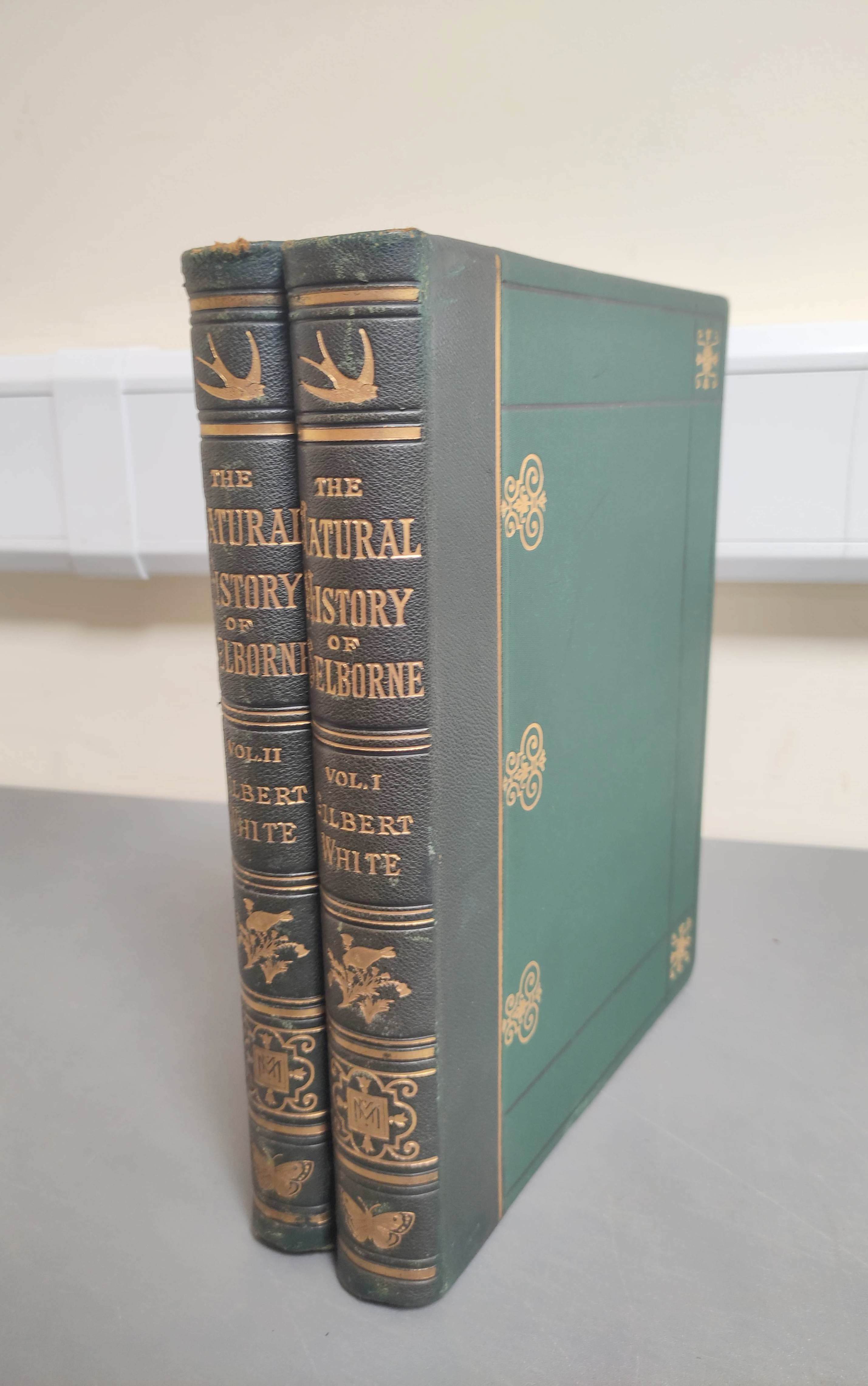 WHITE GILBERT.  Natural History & Antiquities of Selborne ... Notes by Frank Buckland. 2 vols.