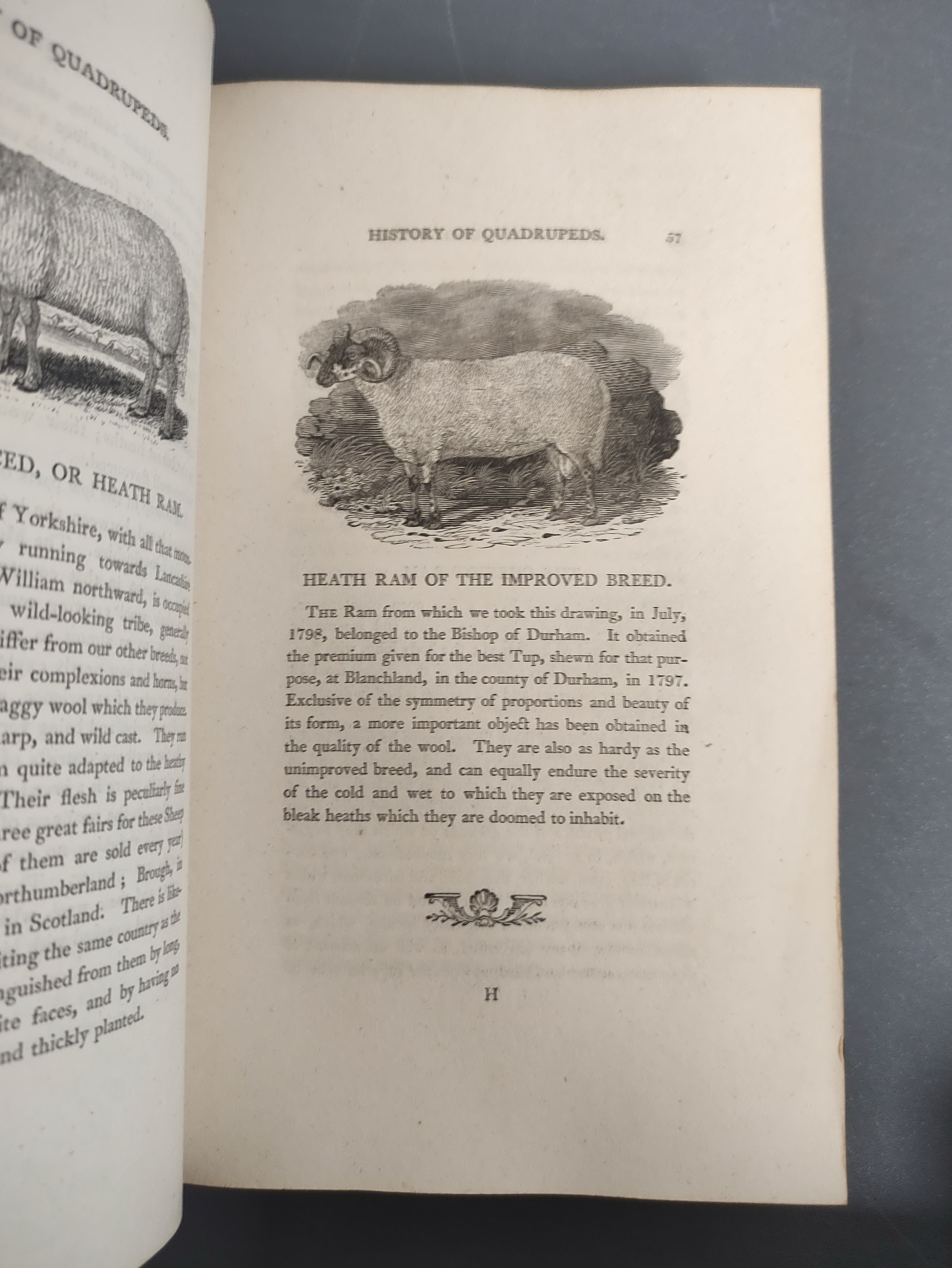 BEWICK THOMAS.  A General History of Quadrupeds. 525pp. Many wood eng. vignettes. Large paper 8vo. - Image 5 of 9