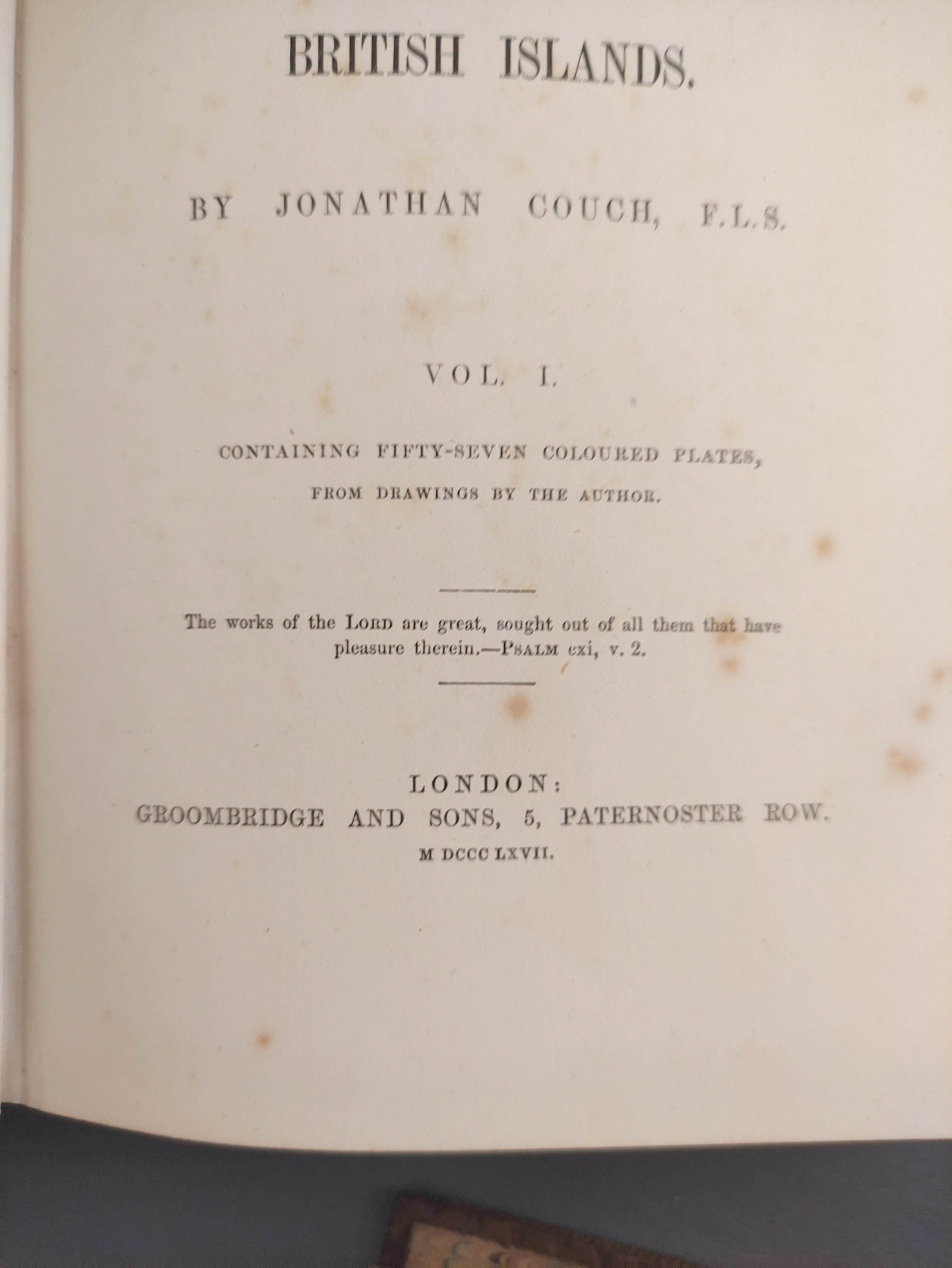 COUCH JONATHAN.  A History of the Fishes of the British Islands. 4 vols. Many hand col. eng. - Image 4 of 9