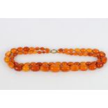 Double strand graduated butterscotch amber necklace, the largest bead approximately 3.3cm x 2.7cm,