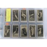 Cigarette card collection of incomplete sets including Ardath Silver Jubilee, Wills Our King and