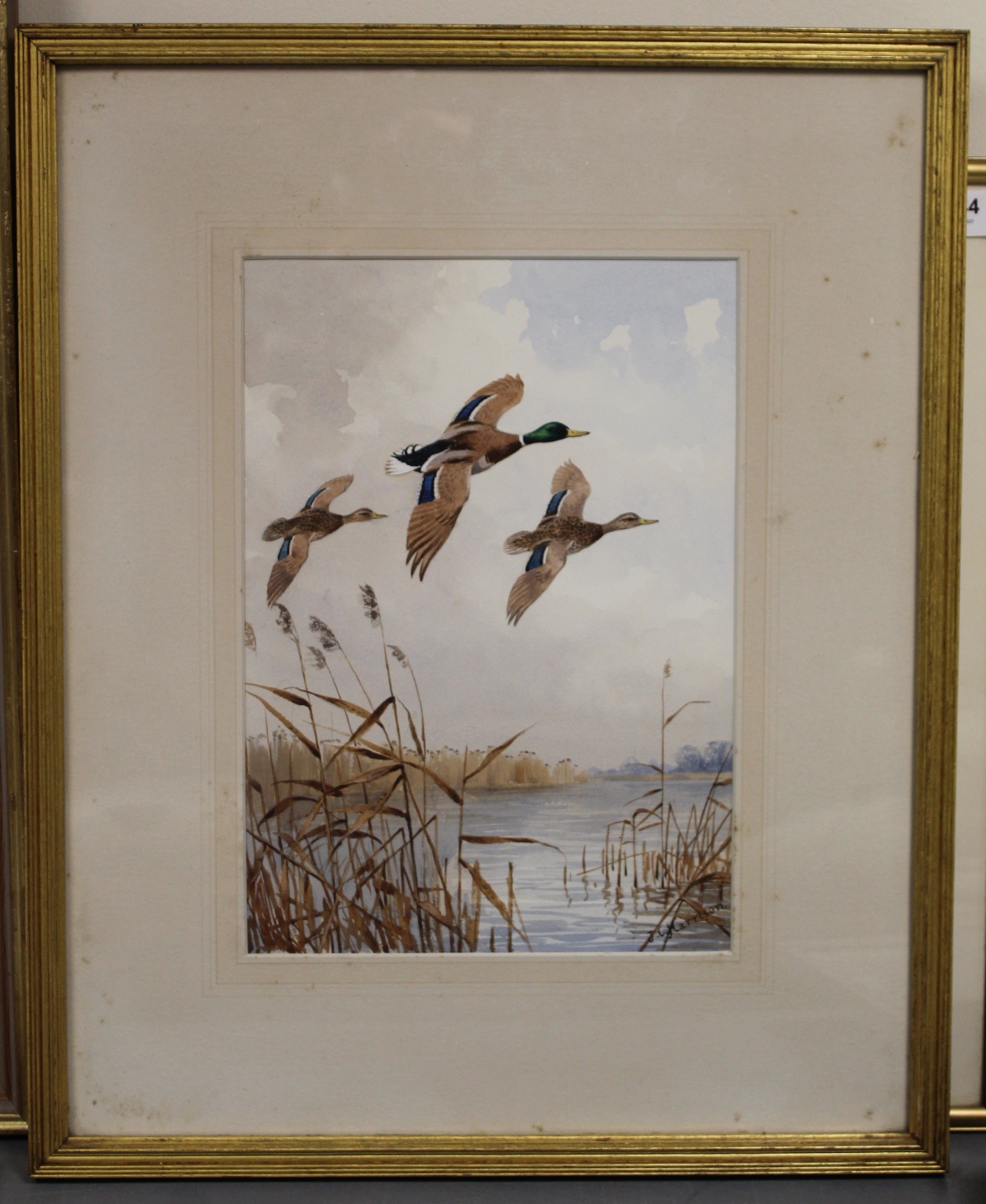 John Cyril Harrison (1898-1985).   "Over the broad - (Mallard)" - ducks in flight. Watercolour. 52. - Image 4 of 8