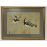 Ralston Gudgeon (Scottish 1910-1984).  Pair of lapwings amongst grasses. Watercolour and gouache