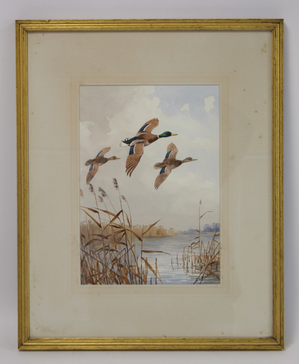 John Cyril Harrison (1898-1985).   "Over the broad - (Mallard)" - ducks in flight. Watercolour. 52.