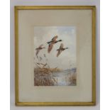John Cyril Harrison (1898-1985).   "Over the broad - (Mallard)" - ducks in flight. Watercolour. 52.