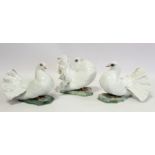 Three German Rosenthal porcelain figures of fantail doves, modelled by Fritz Heidenreich, model nos.