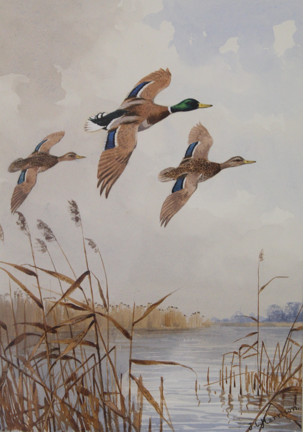 John Cyril Harrison (1898-1985).   "Over the broad - (Mallard)" - ducks in flight. Watercolour. 52. - Image 2 of 8