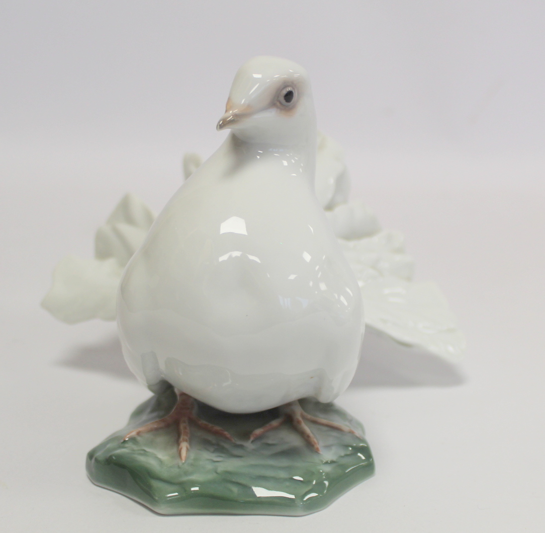 Three German Rosenthal porcelain figures of fantail doves, modelled by Fritz Heidenreich, model nos. - Bild 10 aus 16