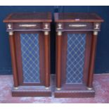 Pair of Regency-style rosewood veneered cabinets, each with a faux door flanked by cylindrical