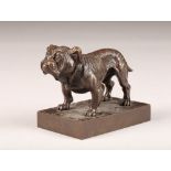 Modern bronze figure of a bulldog, signed J Codina, length 10cm, width 6.5cm, height 8.5cm